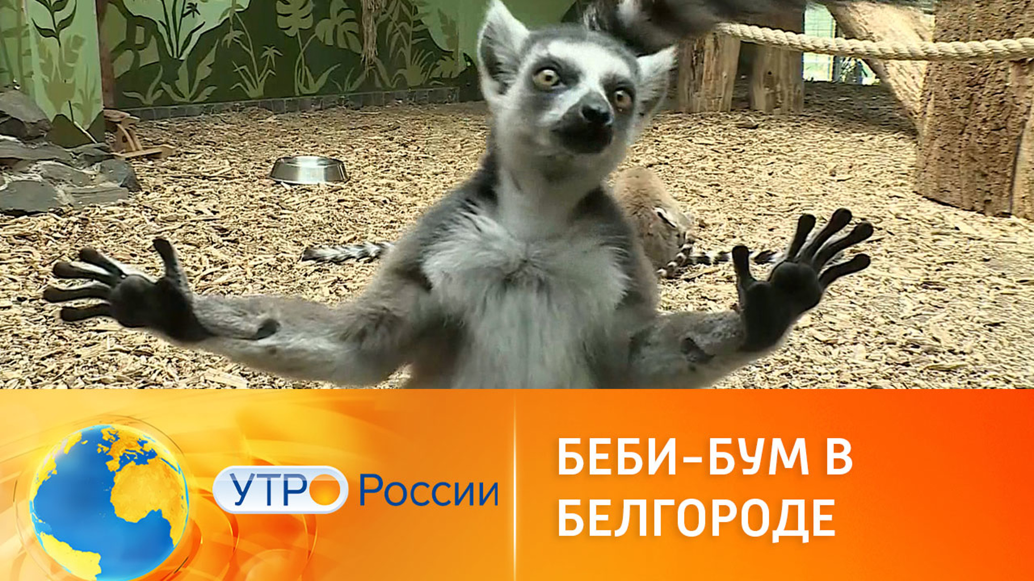 Беби-бум в зоопарке Белгорода
