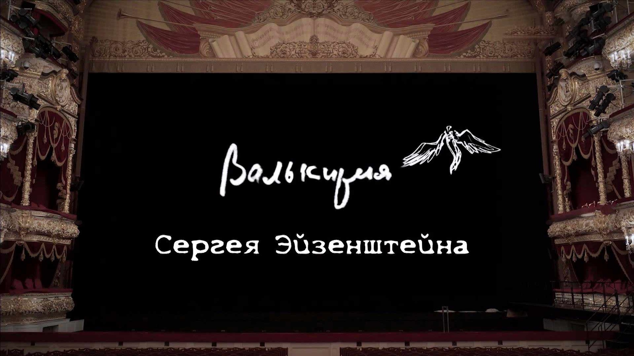 Валькирия Сергея Эйзенштейна