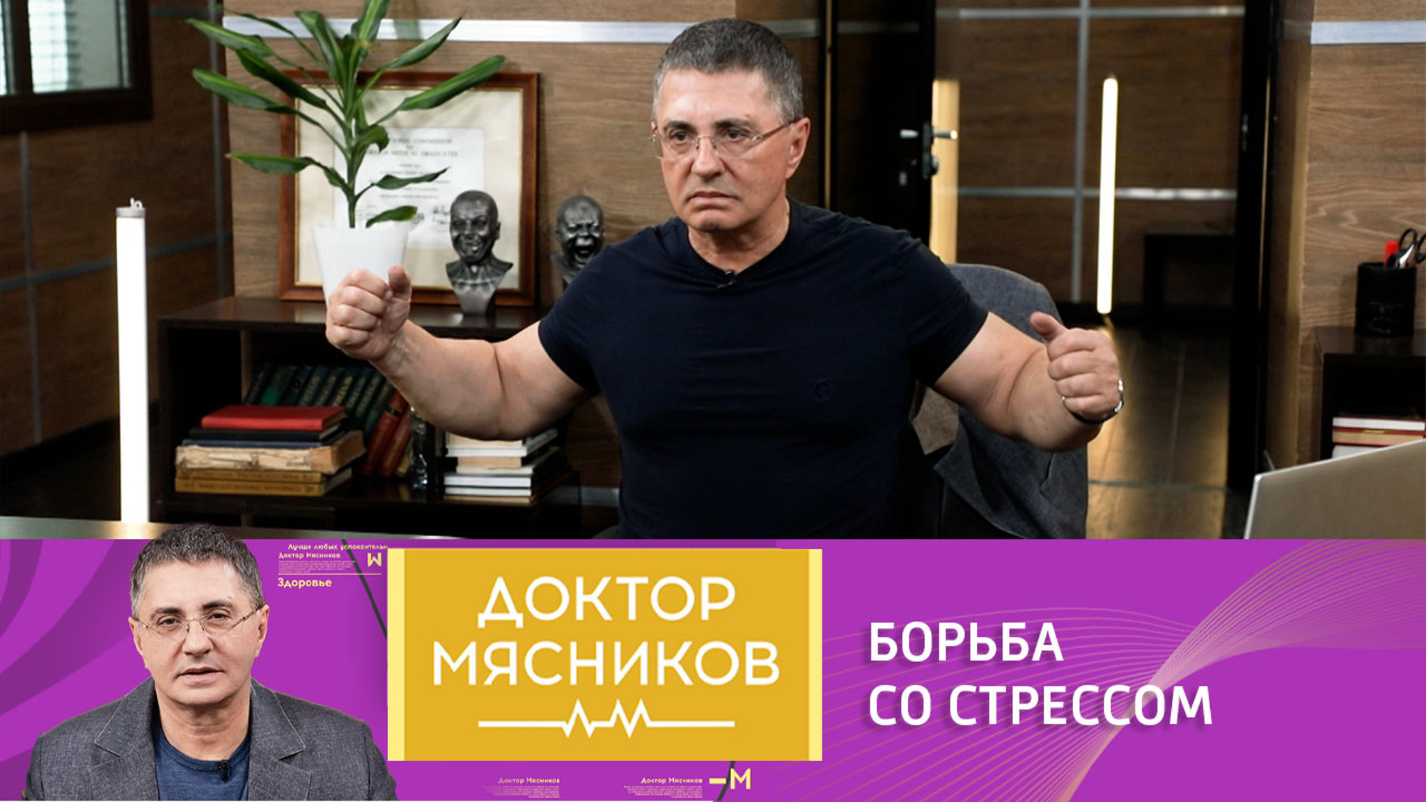 Дерись или беги: неочевидная роль стресса