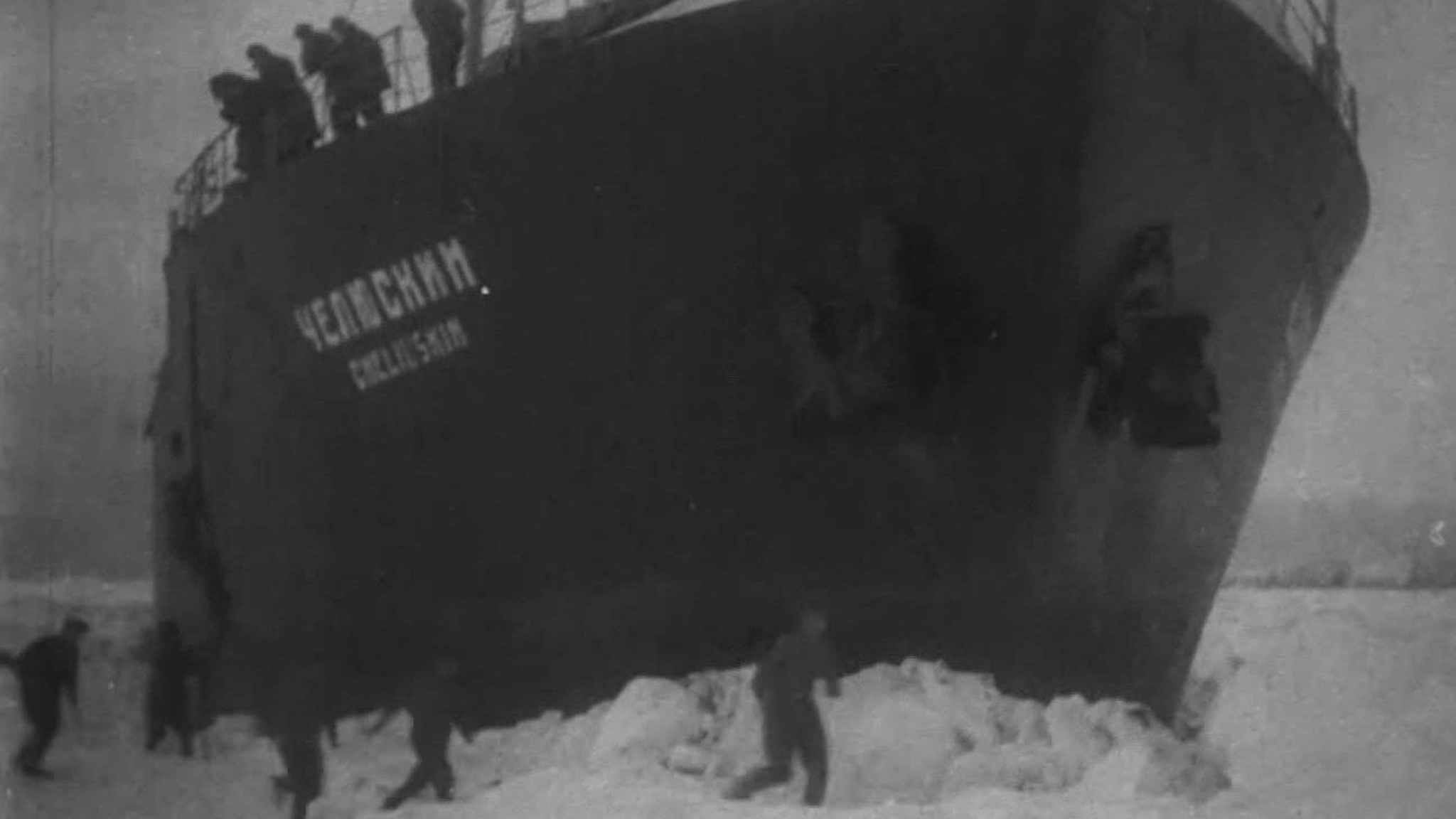 В столице прошла акция "День полярного кино"