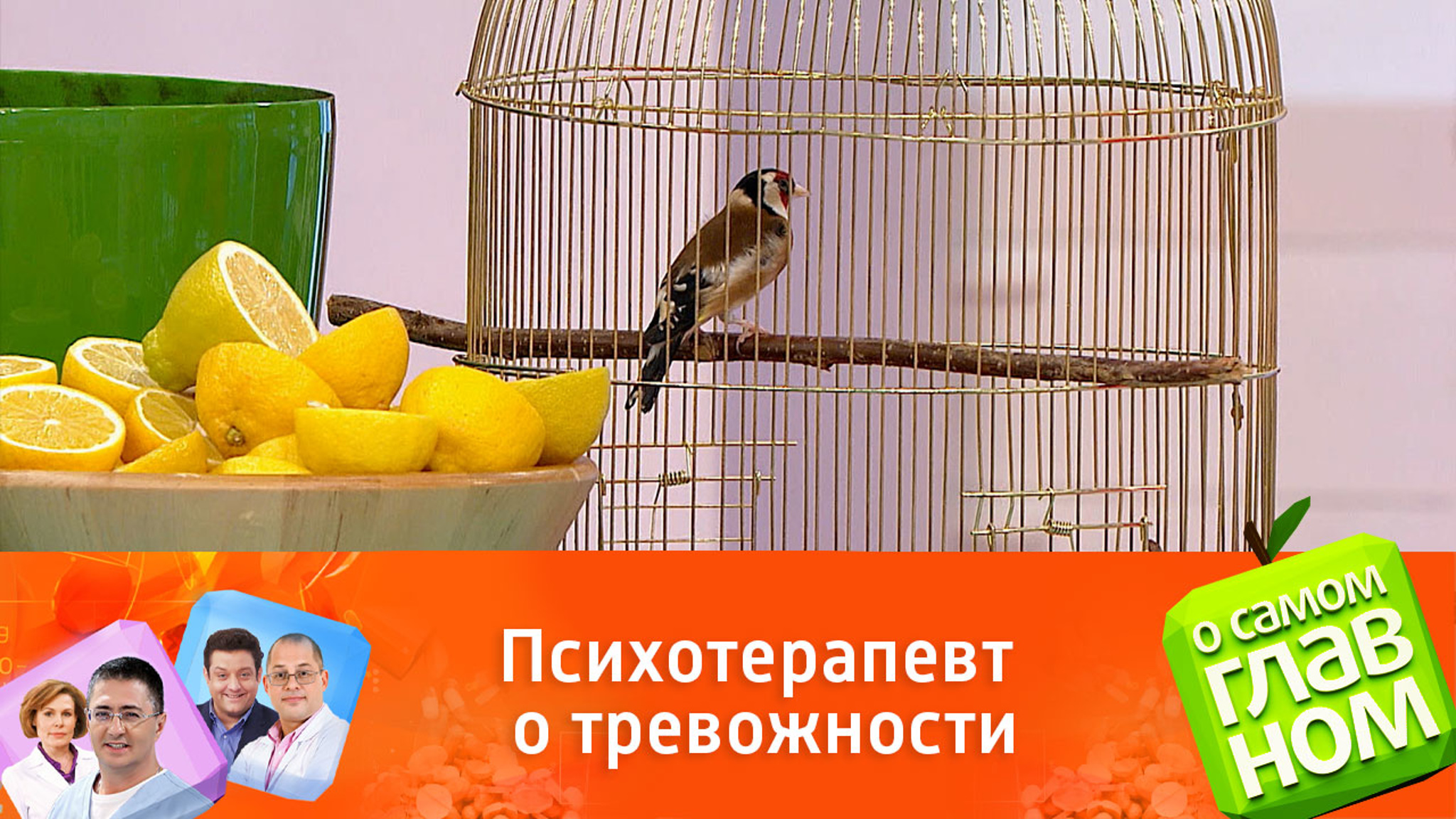 Как справиться с тревожностью
