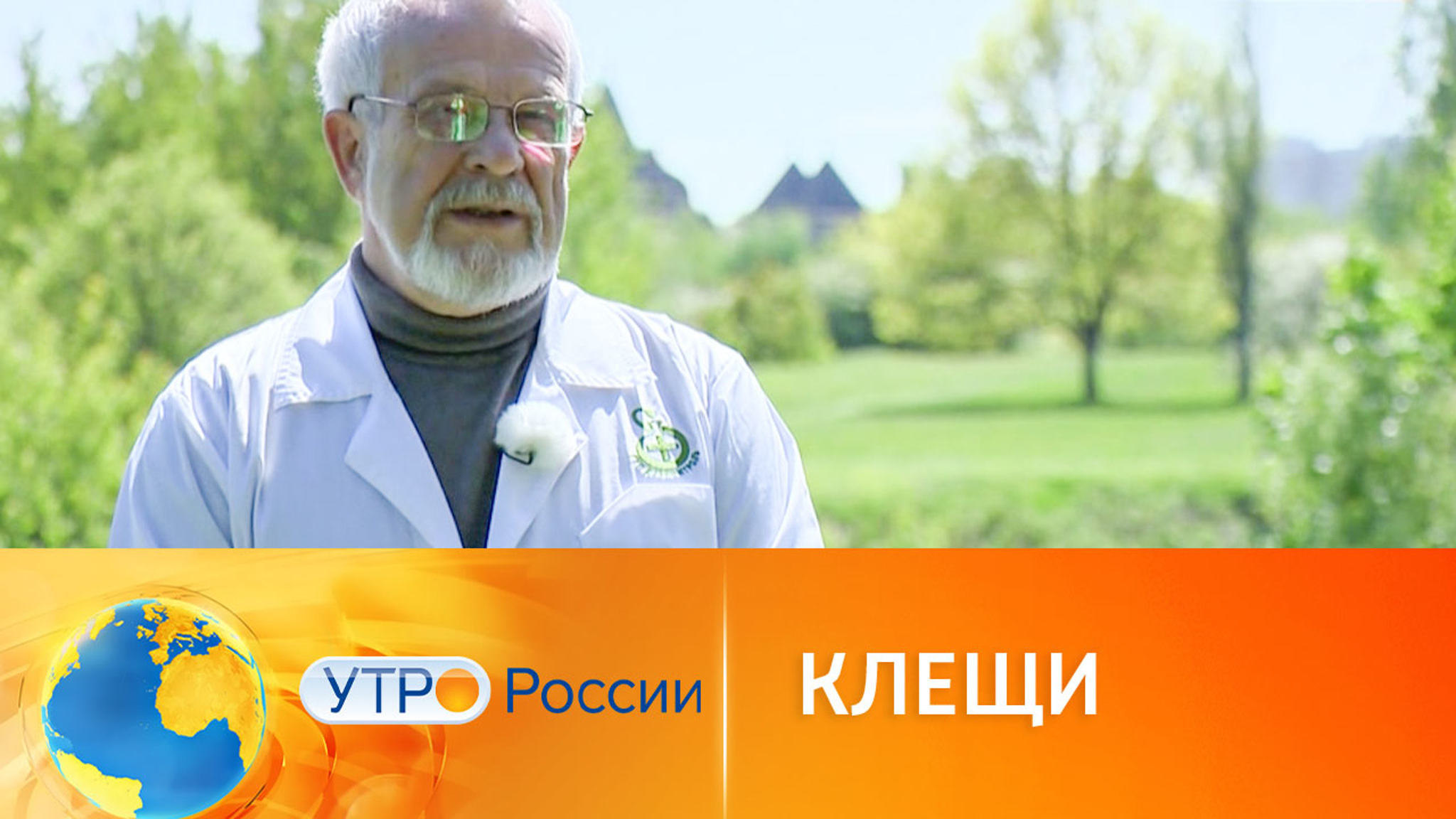 Эксперты предупредили о повышенной активности клещей