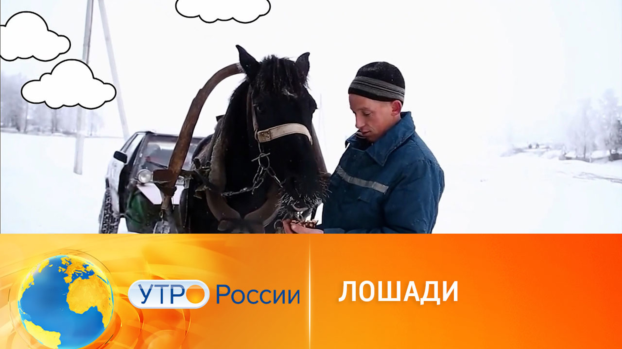 Кареты, запряженные лошадьми снова в тренде