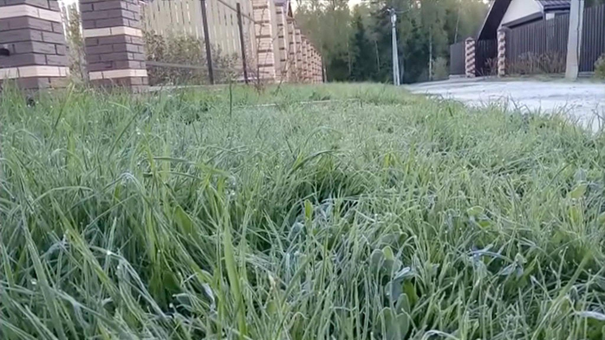 Неласковый май