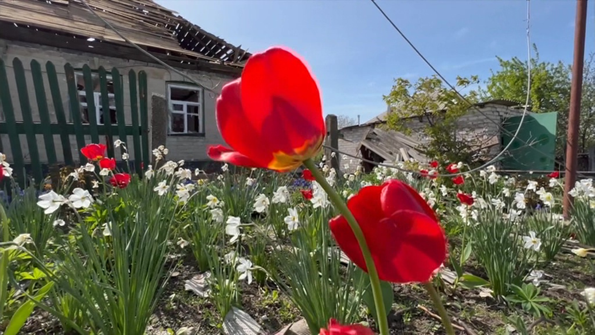 Попасная