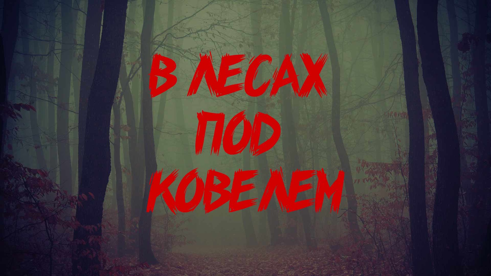 В лесах под Ковелем