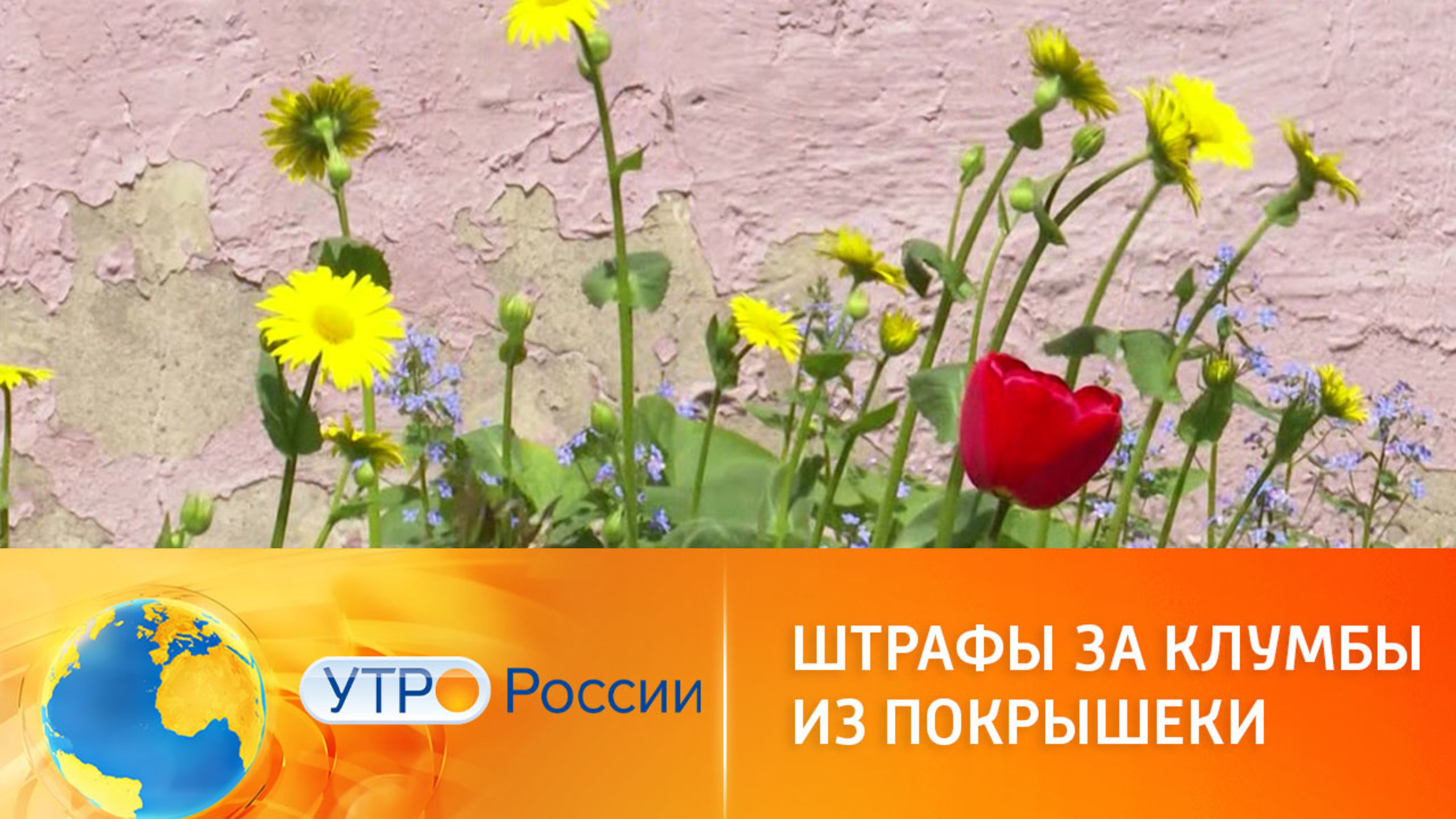 За клумбы из покрышек теперь можно получить штраф
