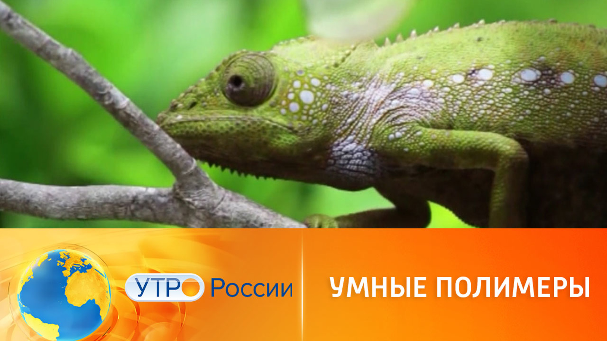 Ученые создали полимерную кожу