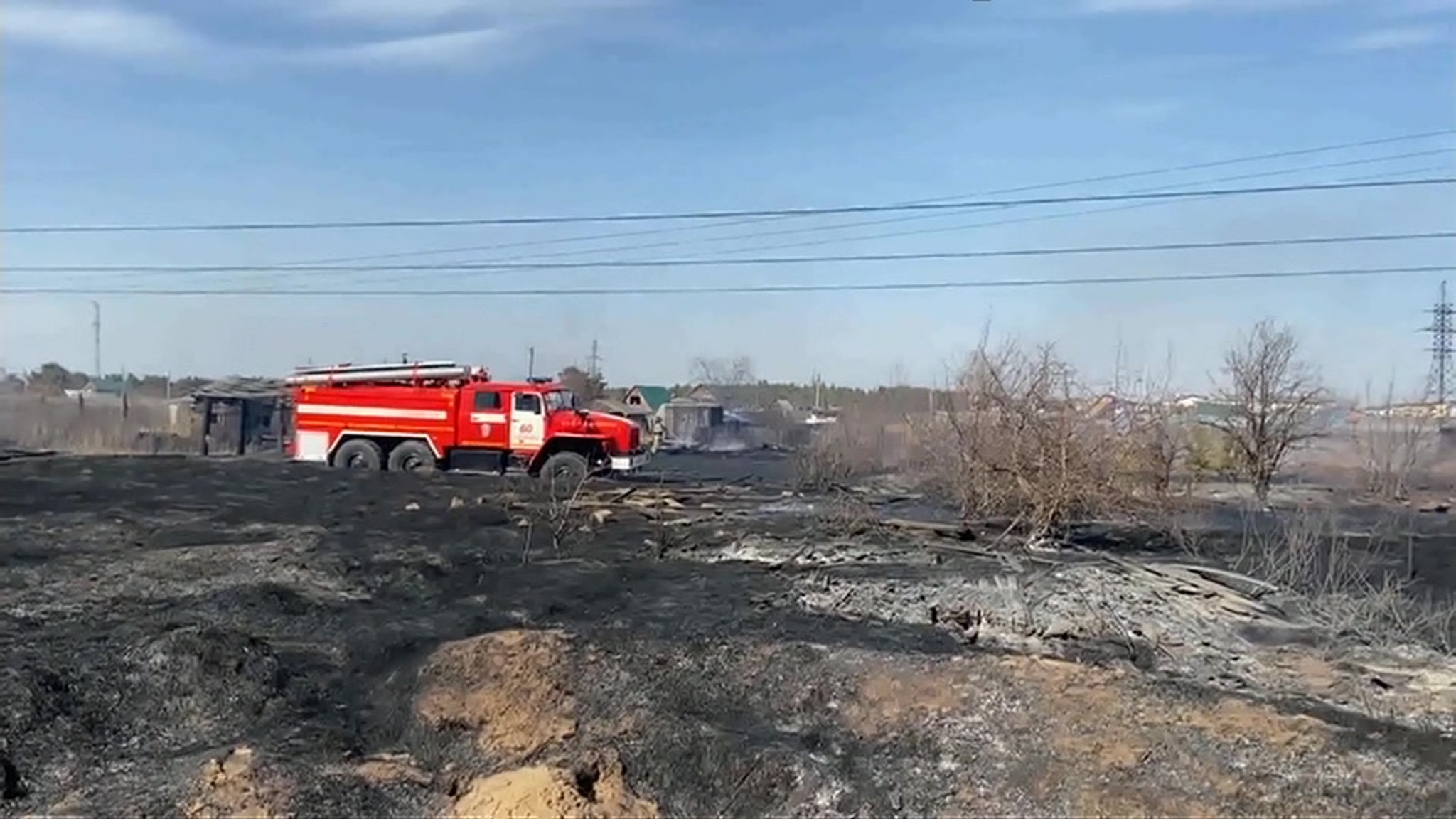Площадь лесных пожаров в России начала сокращаться