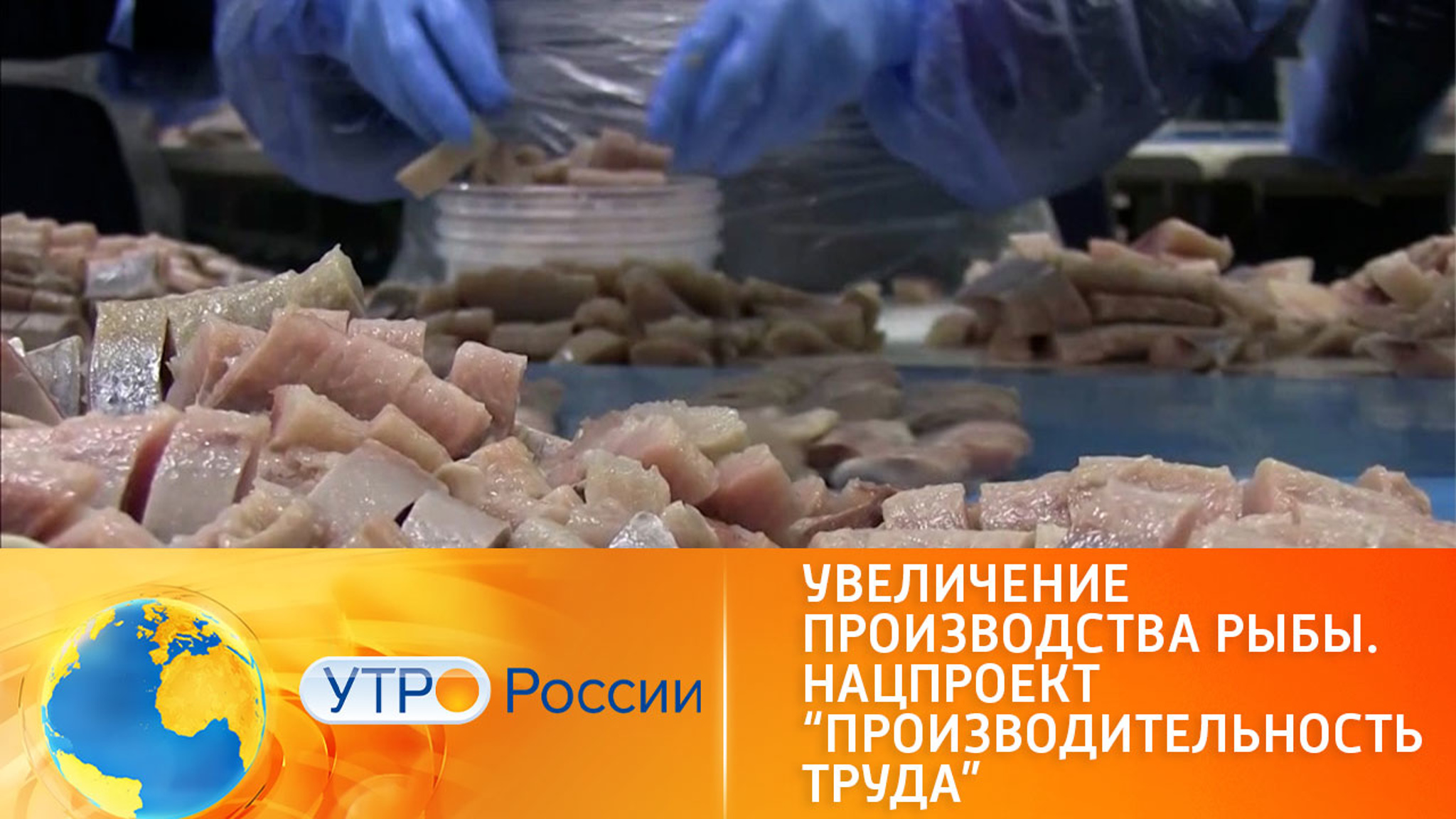 Увеличение производства рыбы. Нацпроект "Производительность труда"
