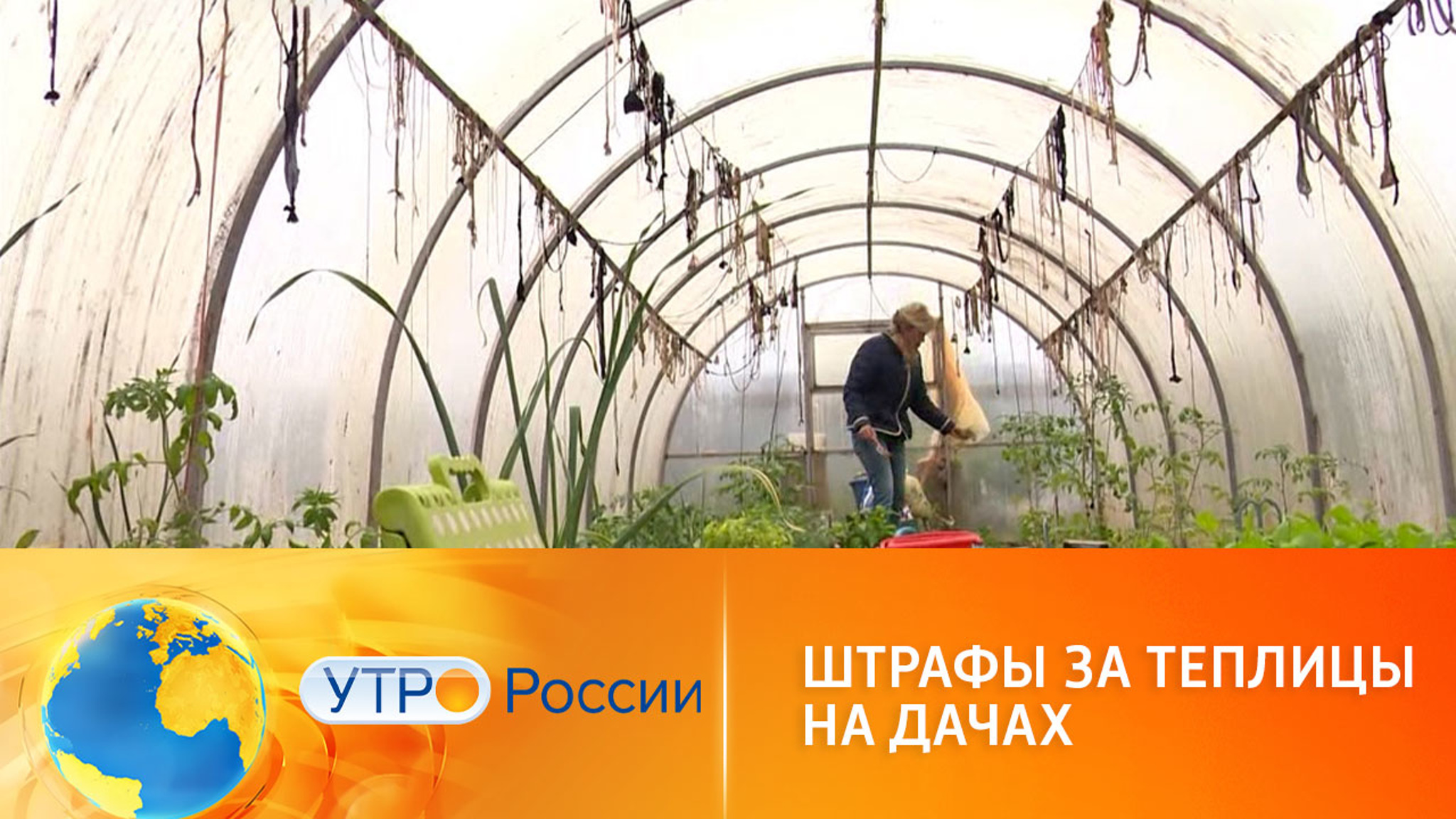 Штрафы за теплицы на дачах: миф или реальность