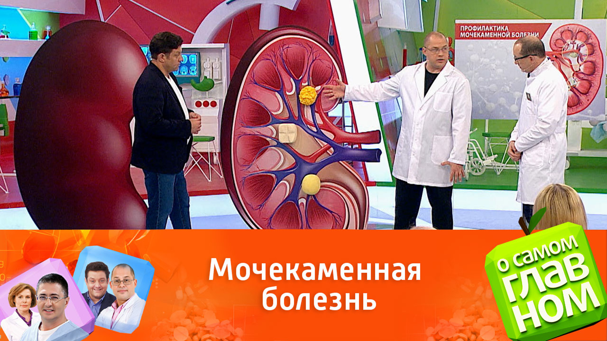 Почему появляются камни в почках