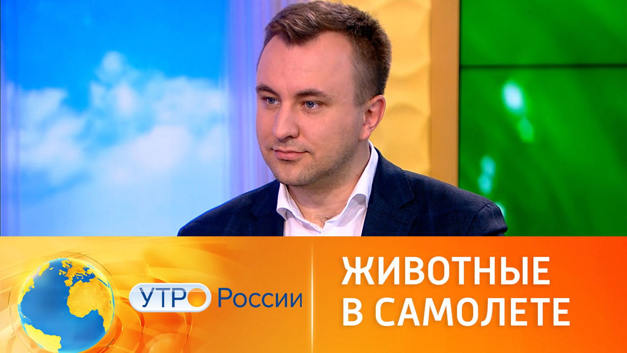 Путешествие без риска для жизни: правила провоза животных
