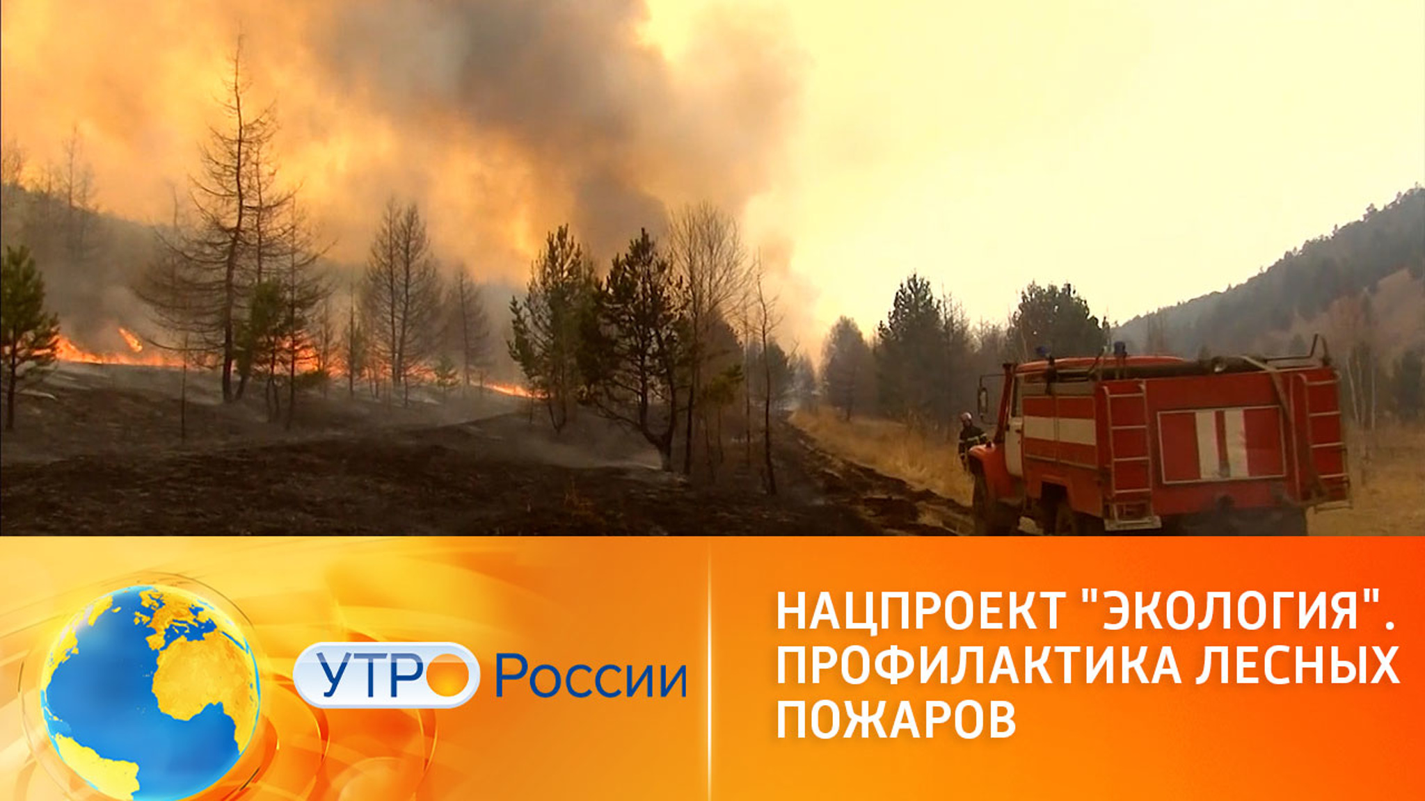 В России выделили 14 млрд рублей на борьбу с лесными пожарами