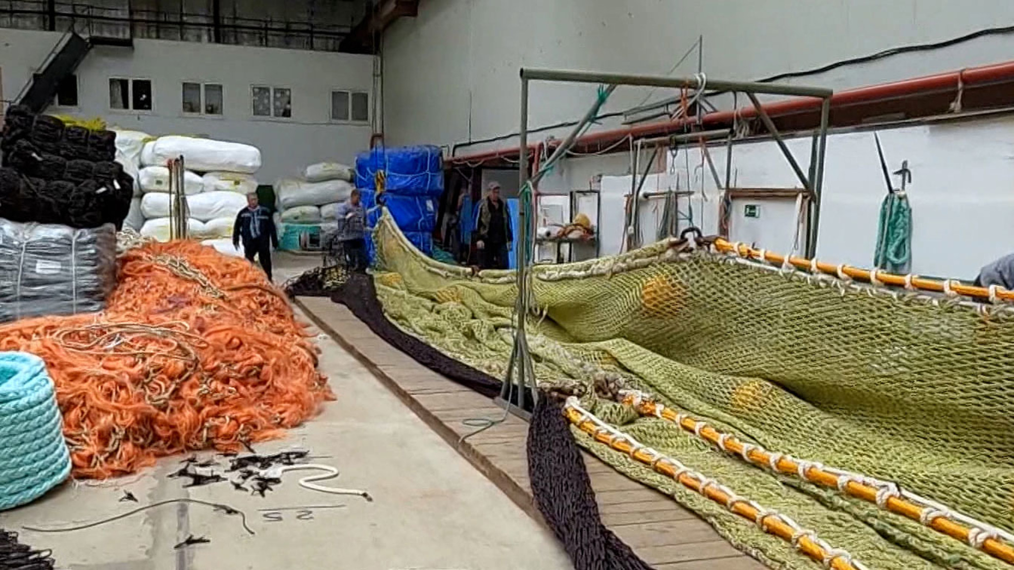 Сырье для крабовых палочек начали производить прямо в море