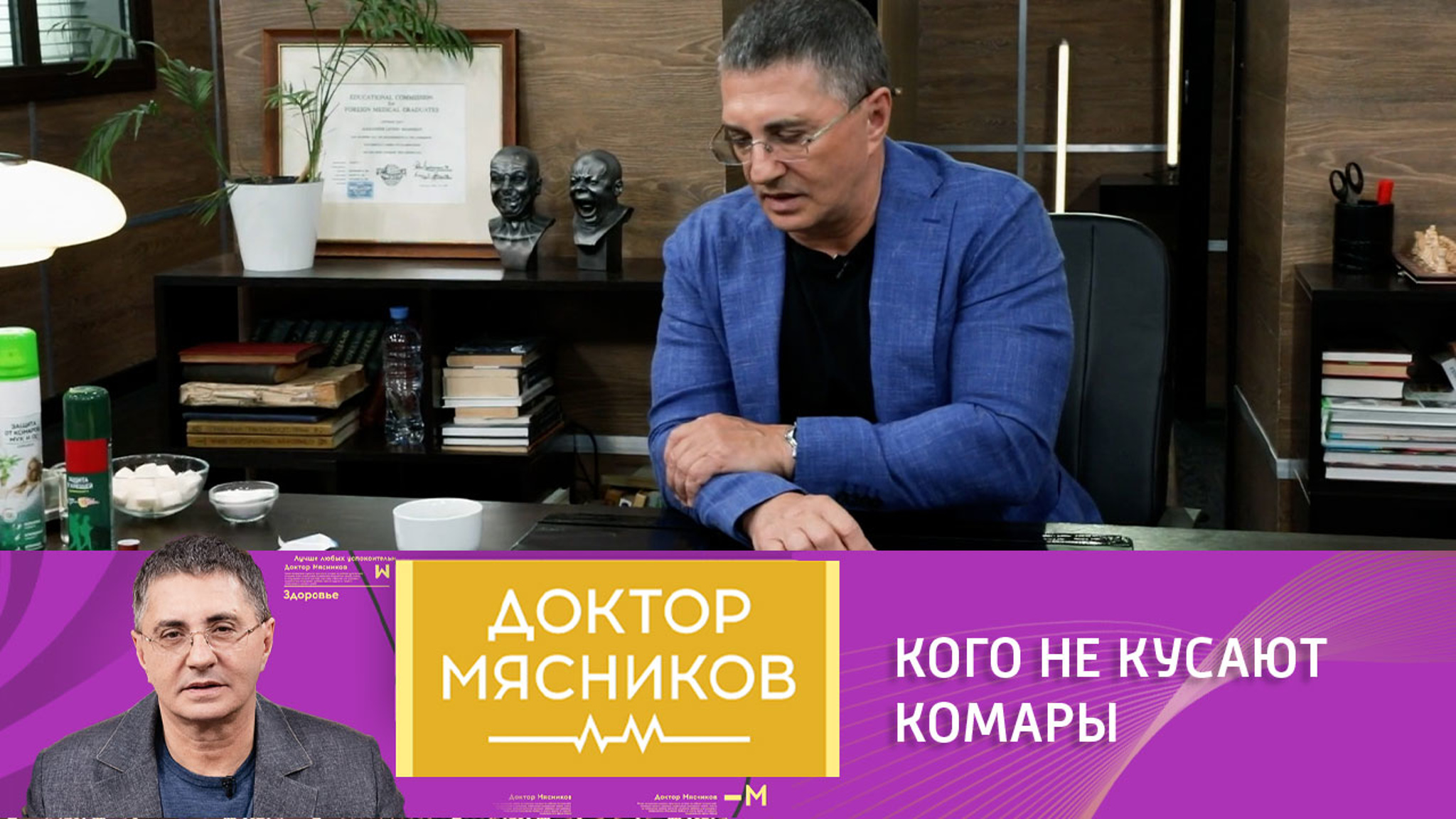 Лето красное: Мясников об укусах комаров и других насекомых