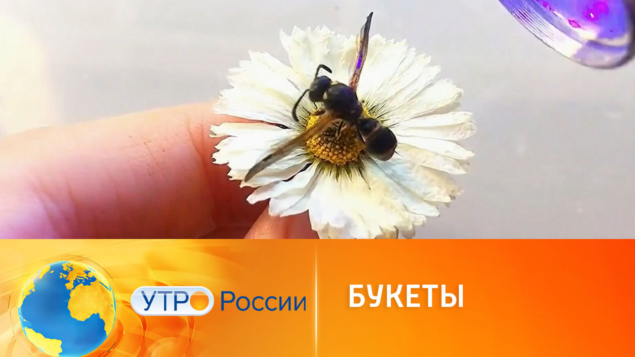 Цветы для вдохновения: популярные лайфхаки