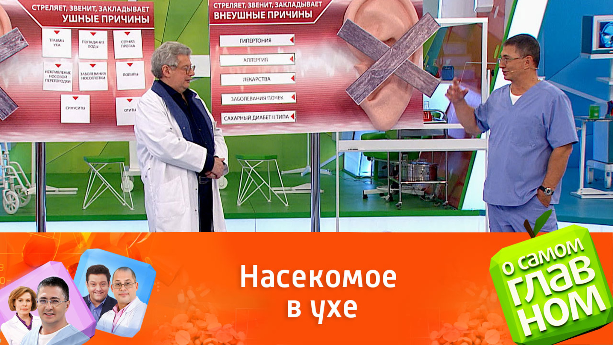 Совет врача: что делать, если в ухо попало насекомое