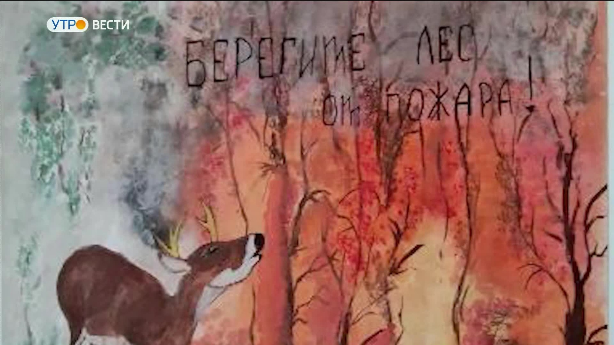 Школьники из Владимира победили в региональном этапе конкурса по пожарной безопасности