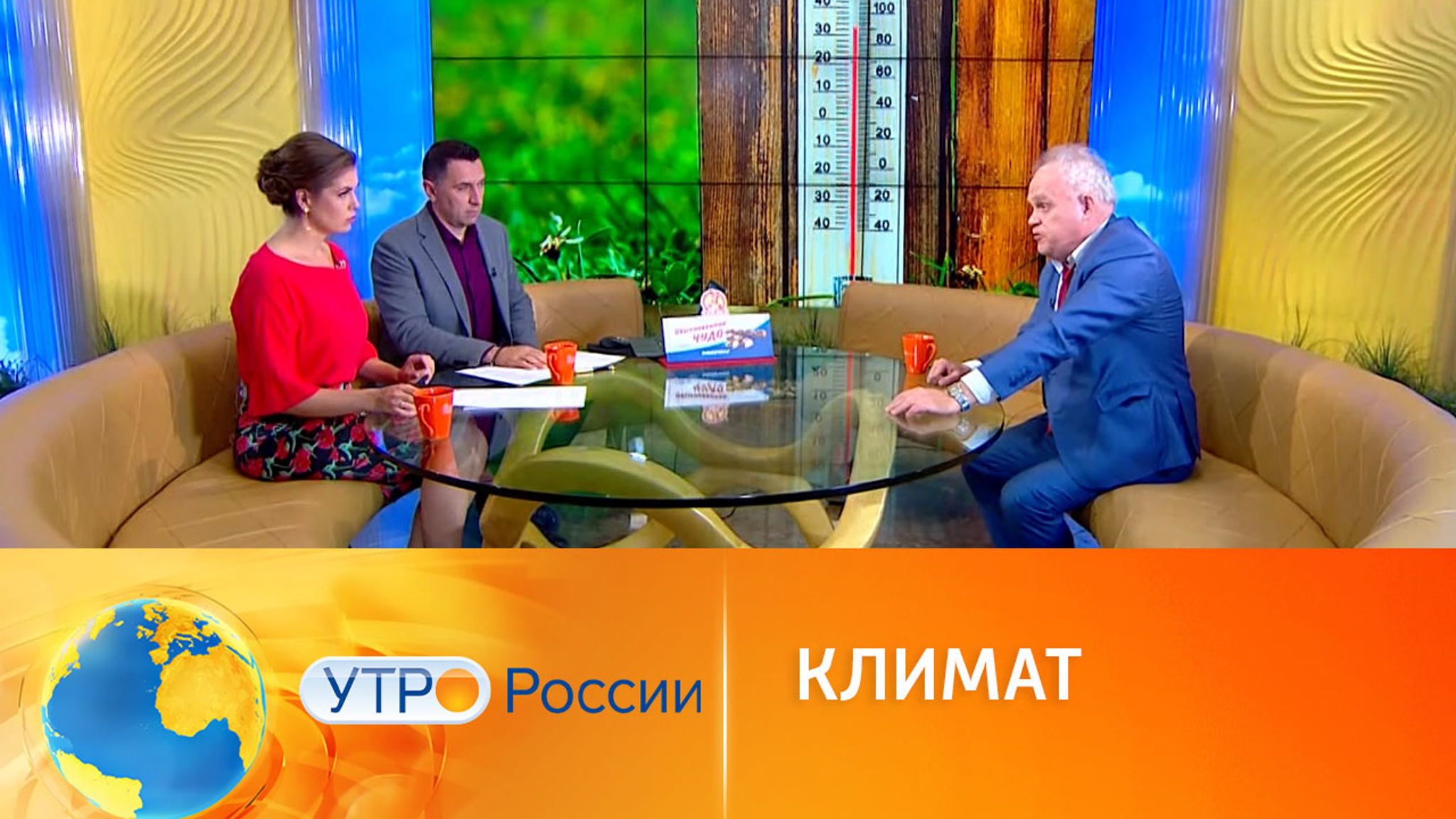 Эксперт рассказал, к чему приведут изменения климата
