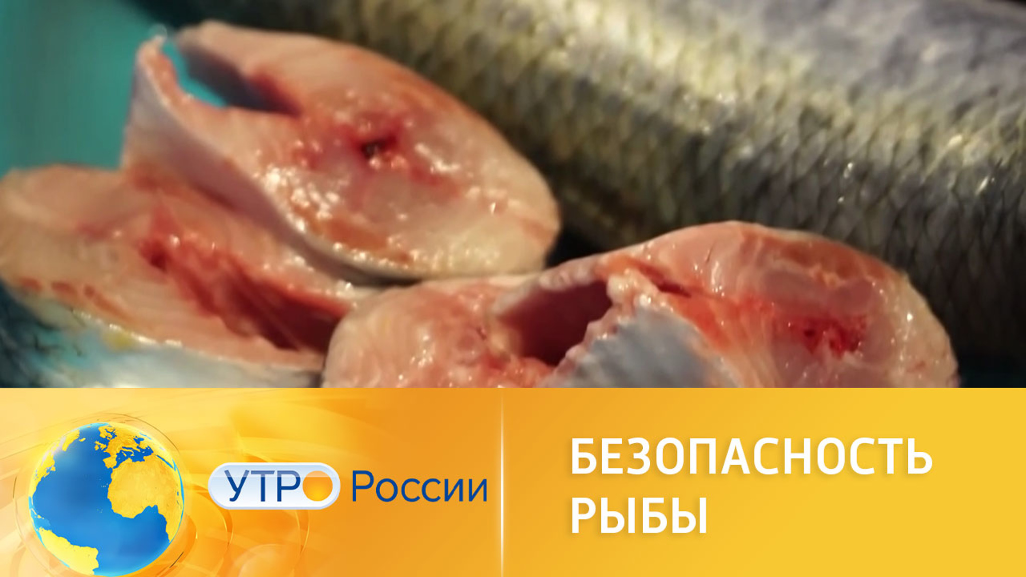 Осторожно, паразиты: проверка рыбы на безопасность