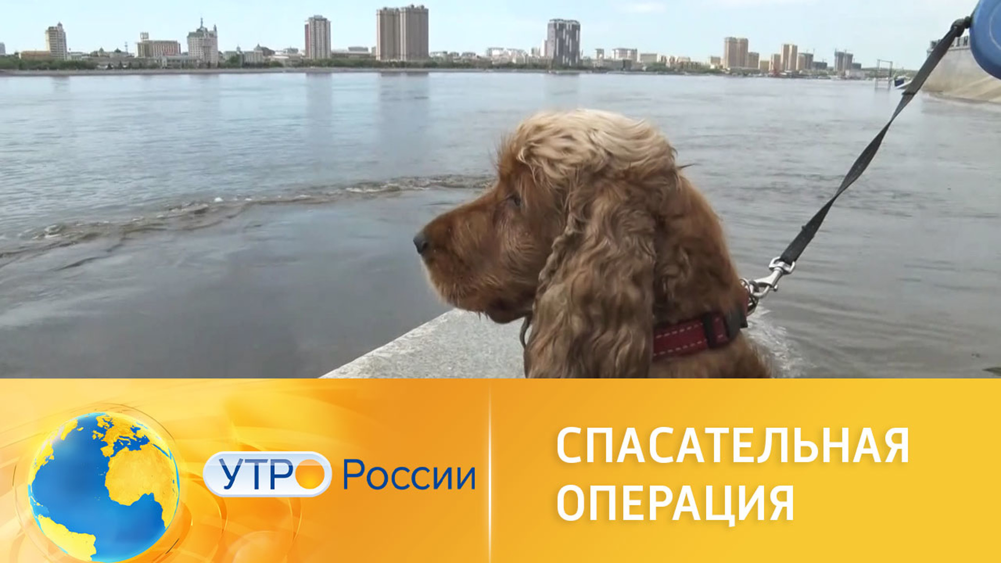 Спасательная операция на воде