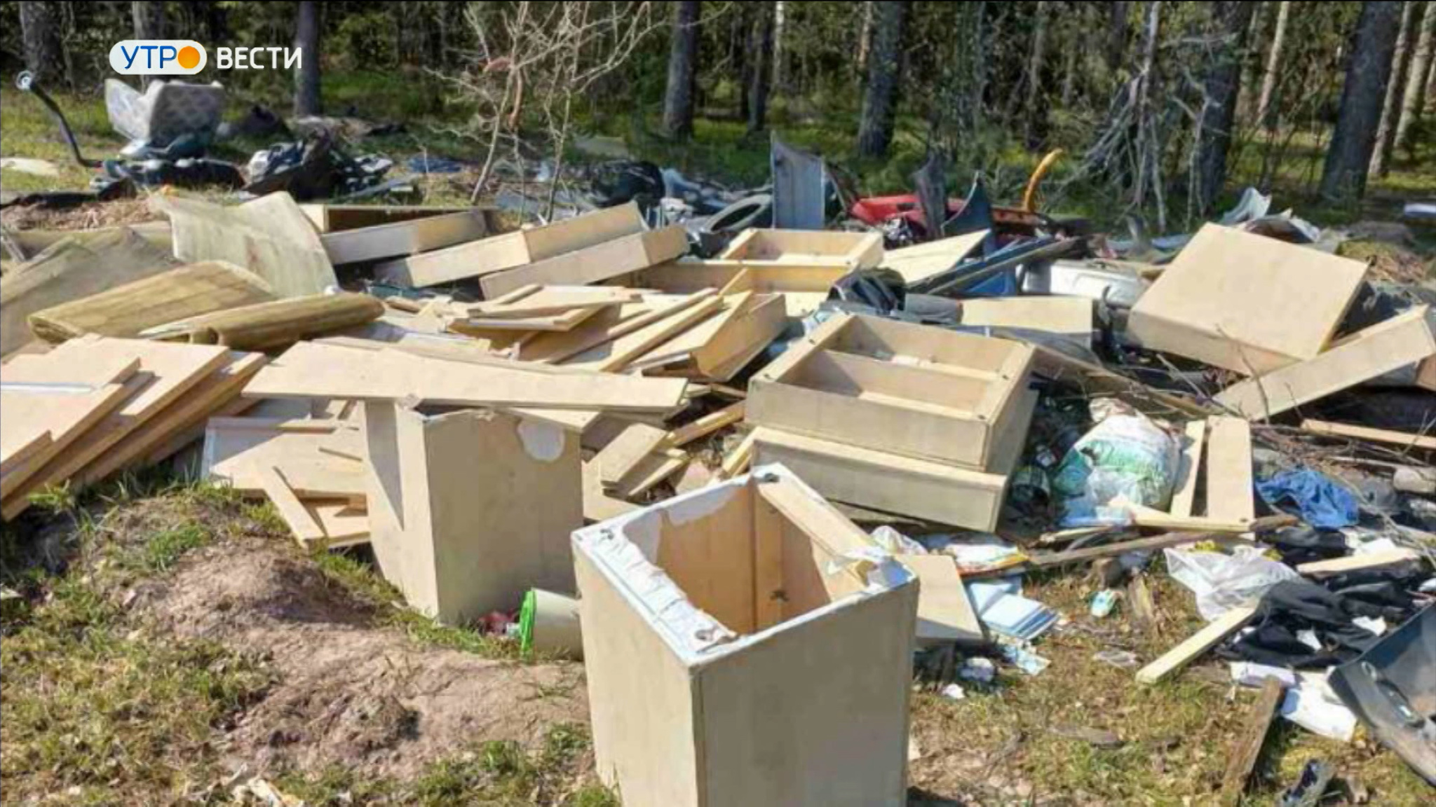 В поселке Вяткино Владимирской области в лесу "выросла" незаконная свалка