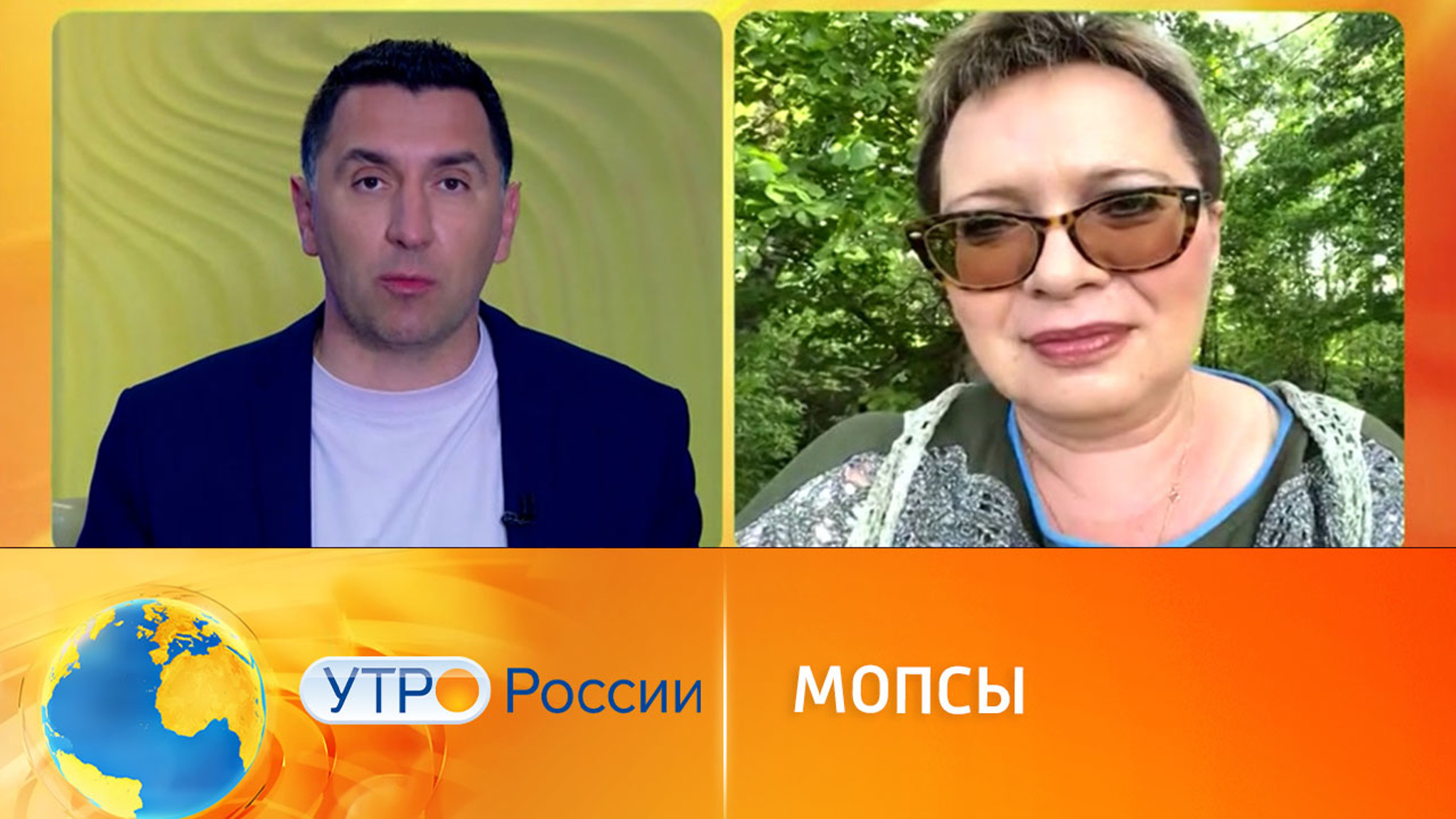 Ученые потребовали запретить мопсов