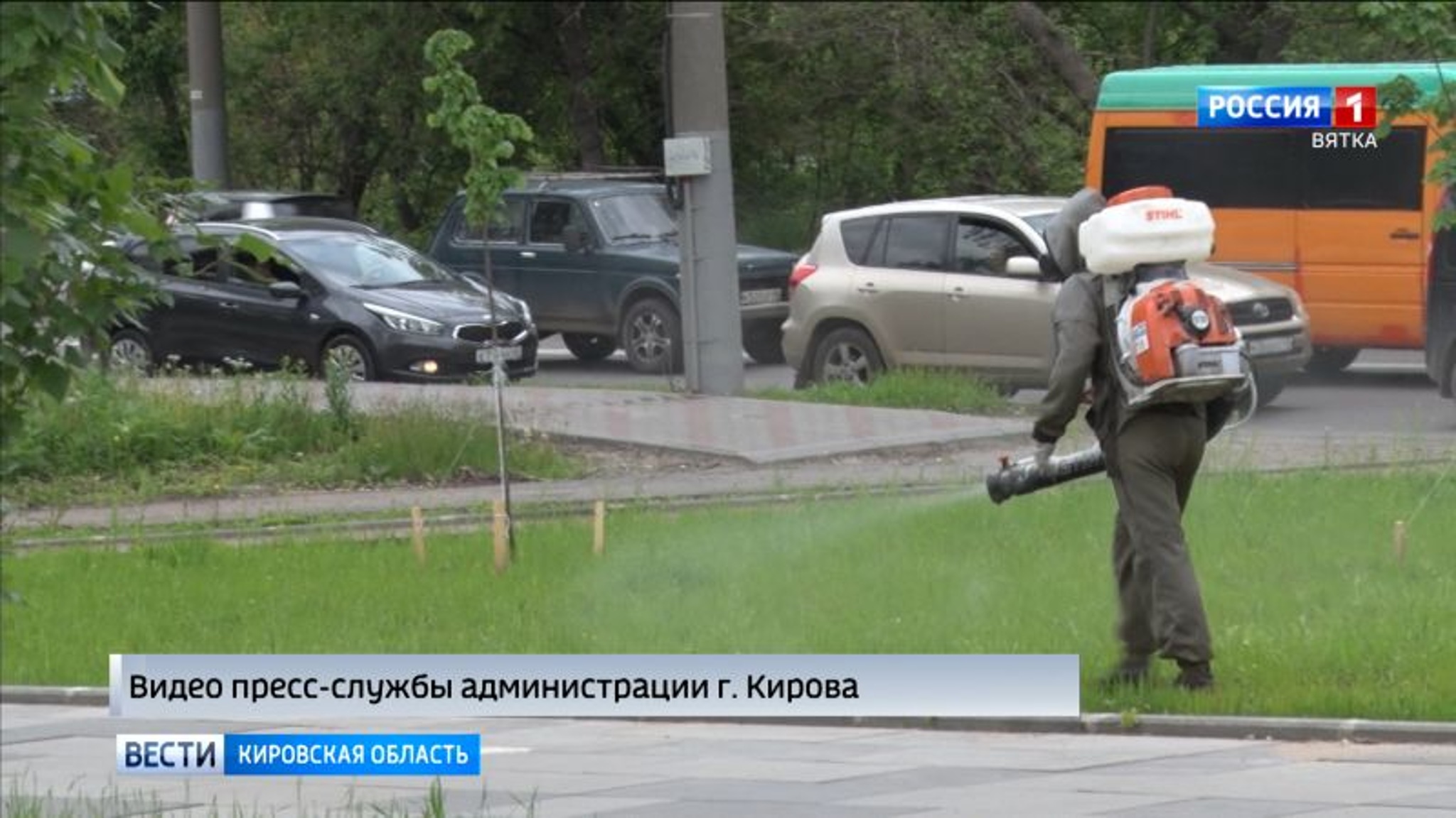 В Кирове провели второй этап обработки от клещей
