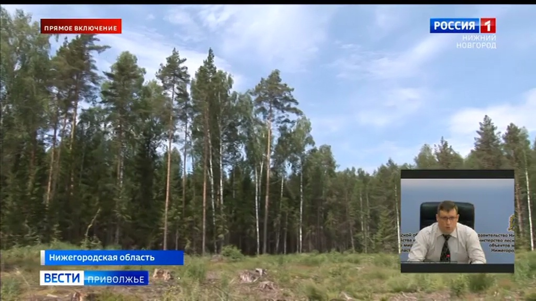 Пожароопасность: Нижегородцам объяснили, можно ли сейчас посещать лес
