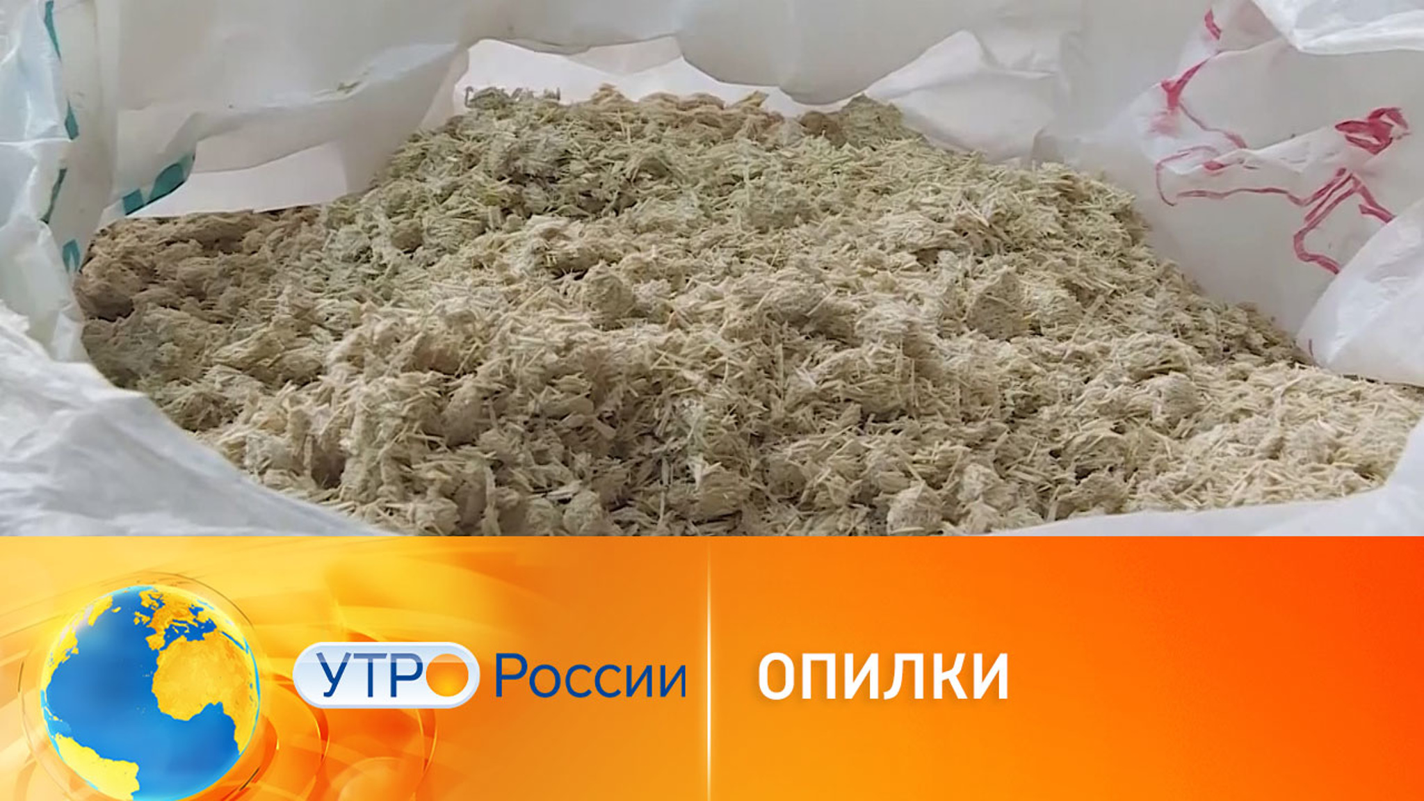 Опилки спасут мир