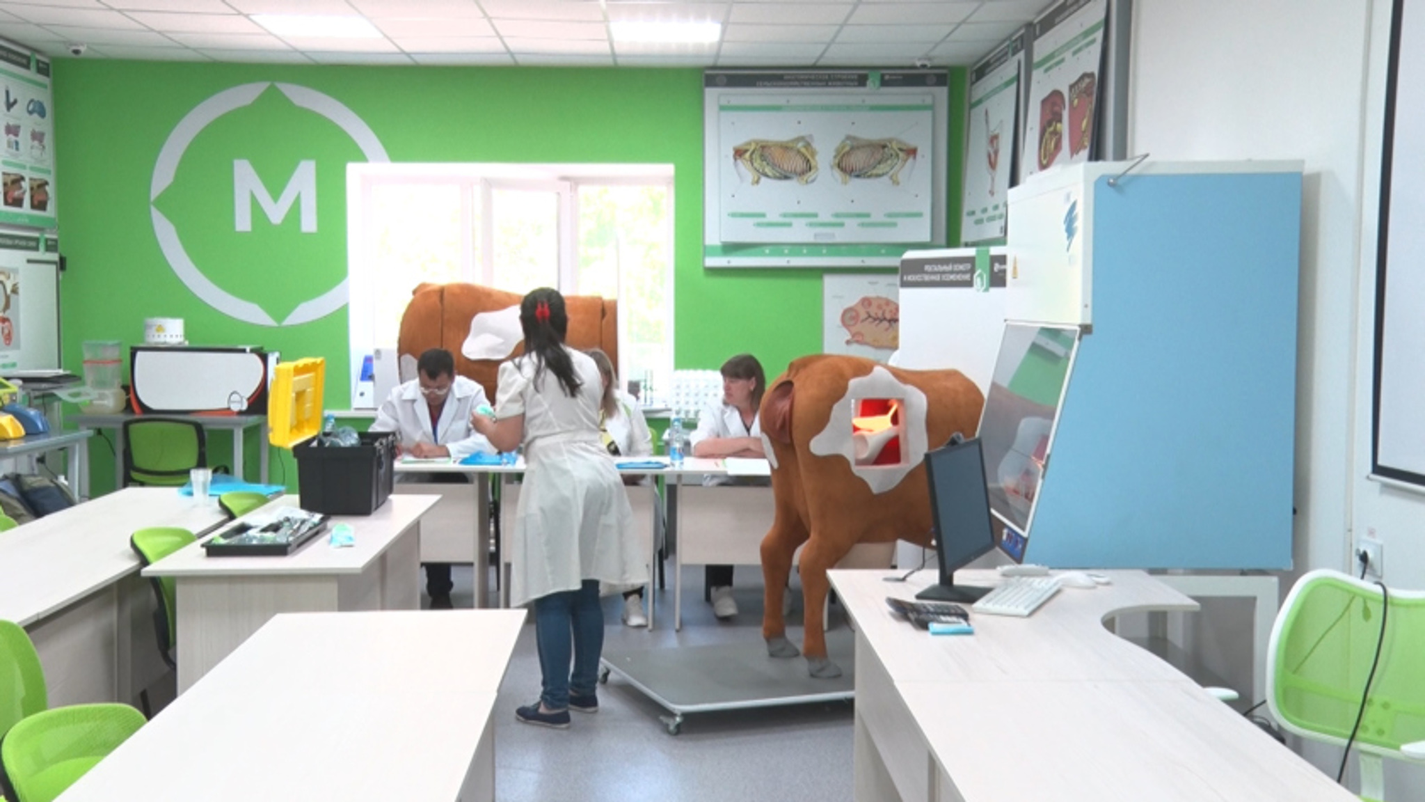 Лучших специалистов племенного дела выявляли в Приамурье