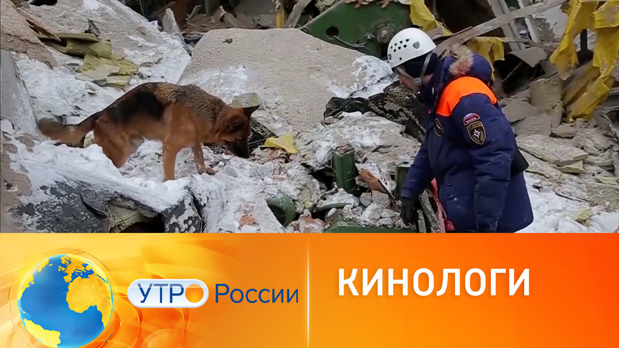 Как кинологи МЧС и их верные собаки помогают людям