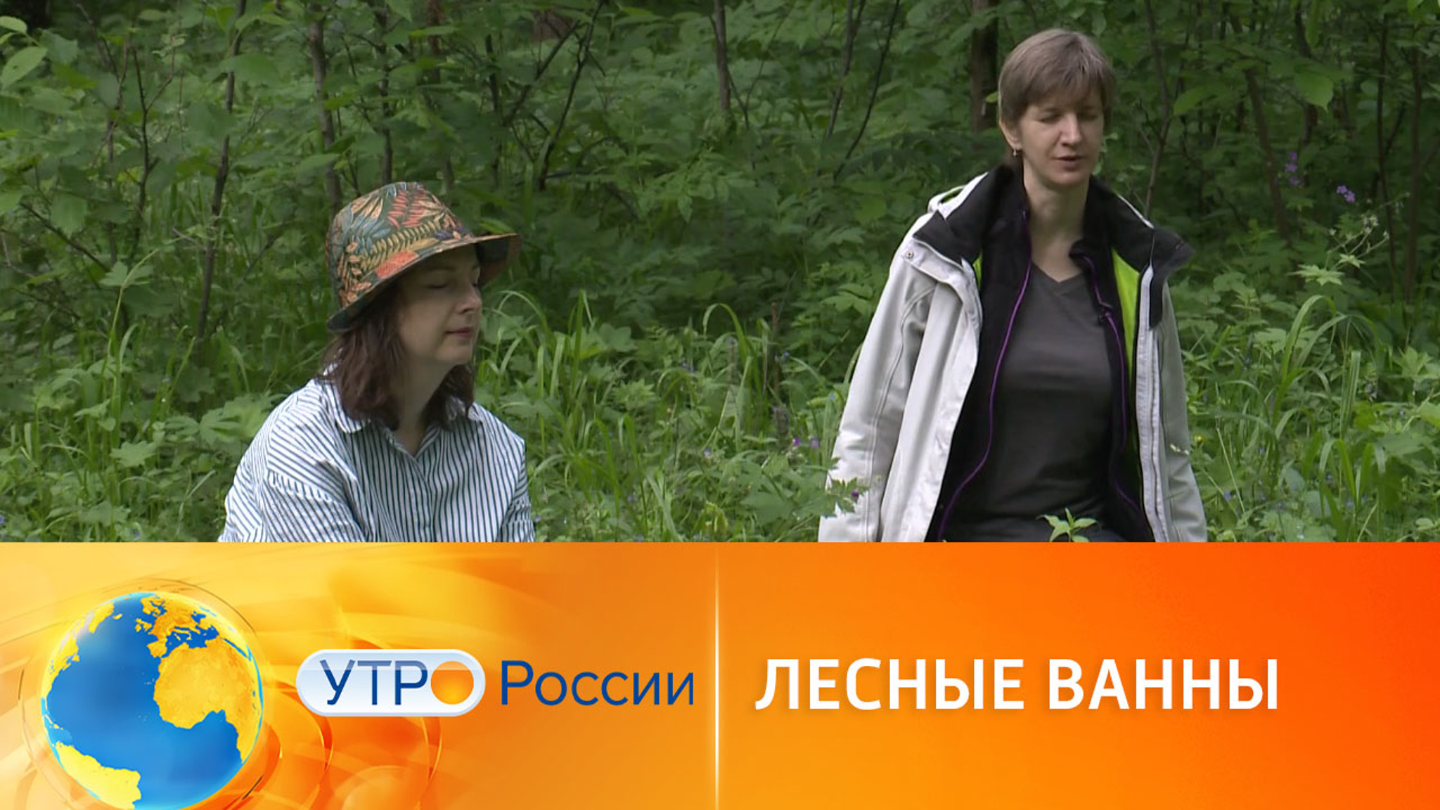 Синрин-йоку: искусство гулять в лесу