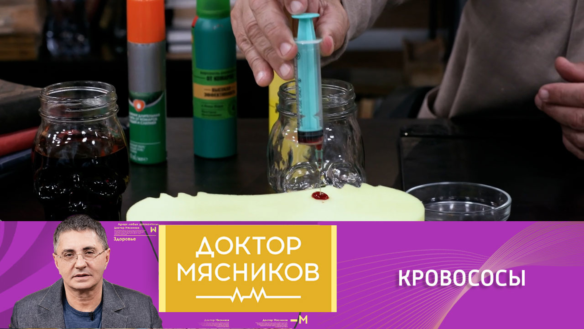 Доктор Мясников развеял мифы об укусах комаров