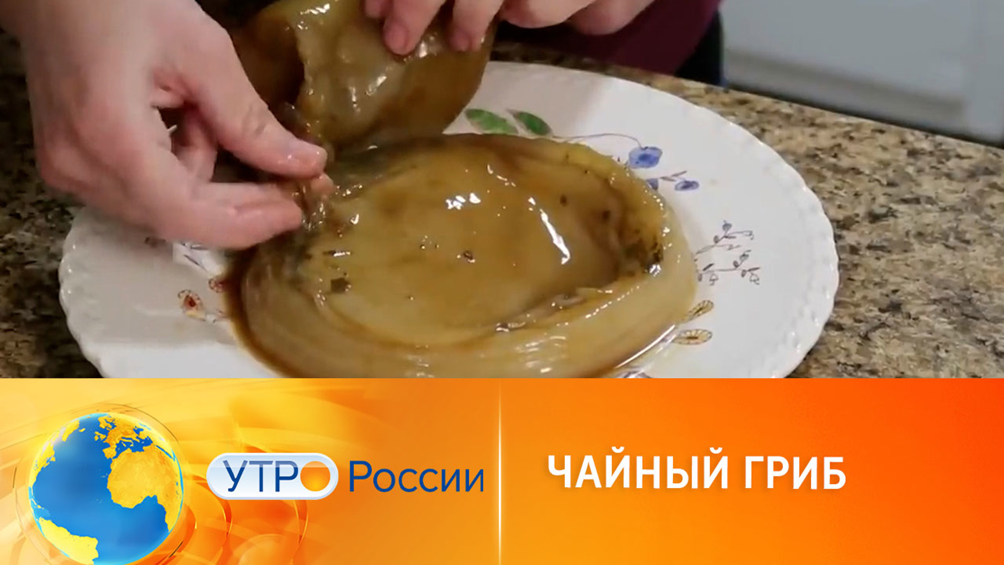 Вкусно и полезно: чайный гриб как замена привычным напиткам
