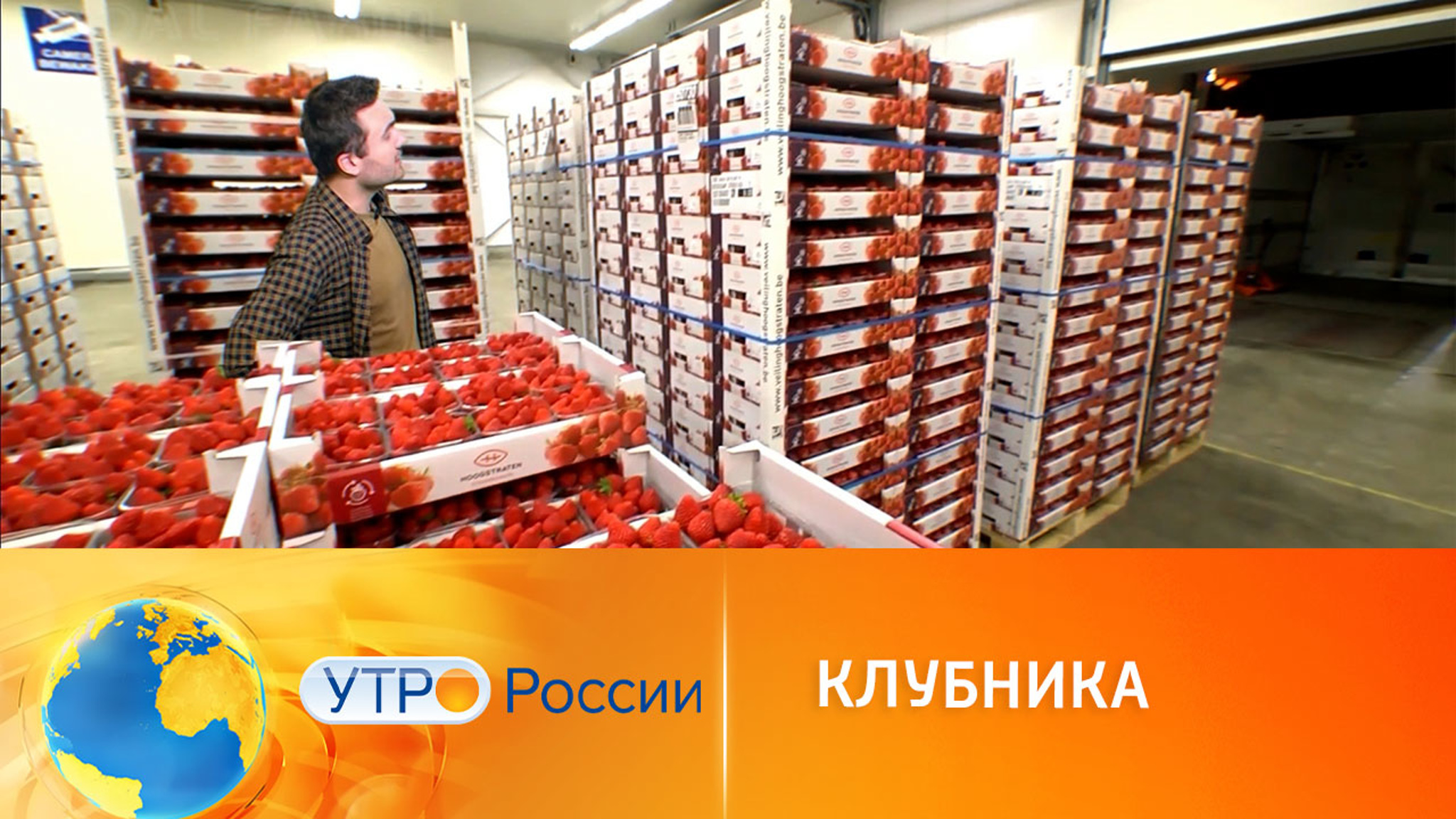 Простые и вкусные рецепты блюд с клубникой