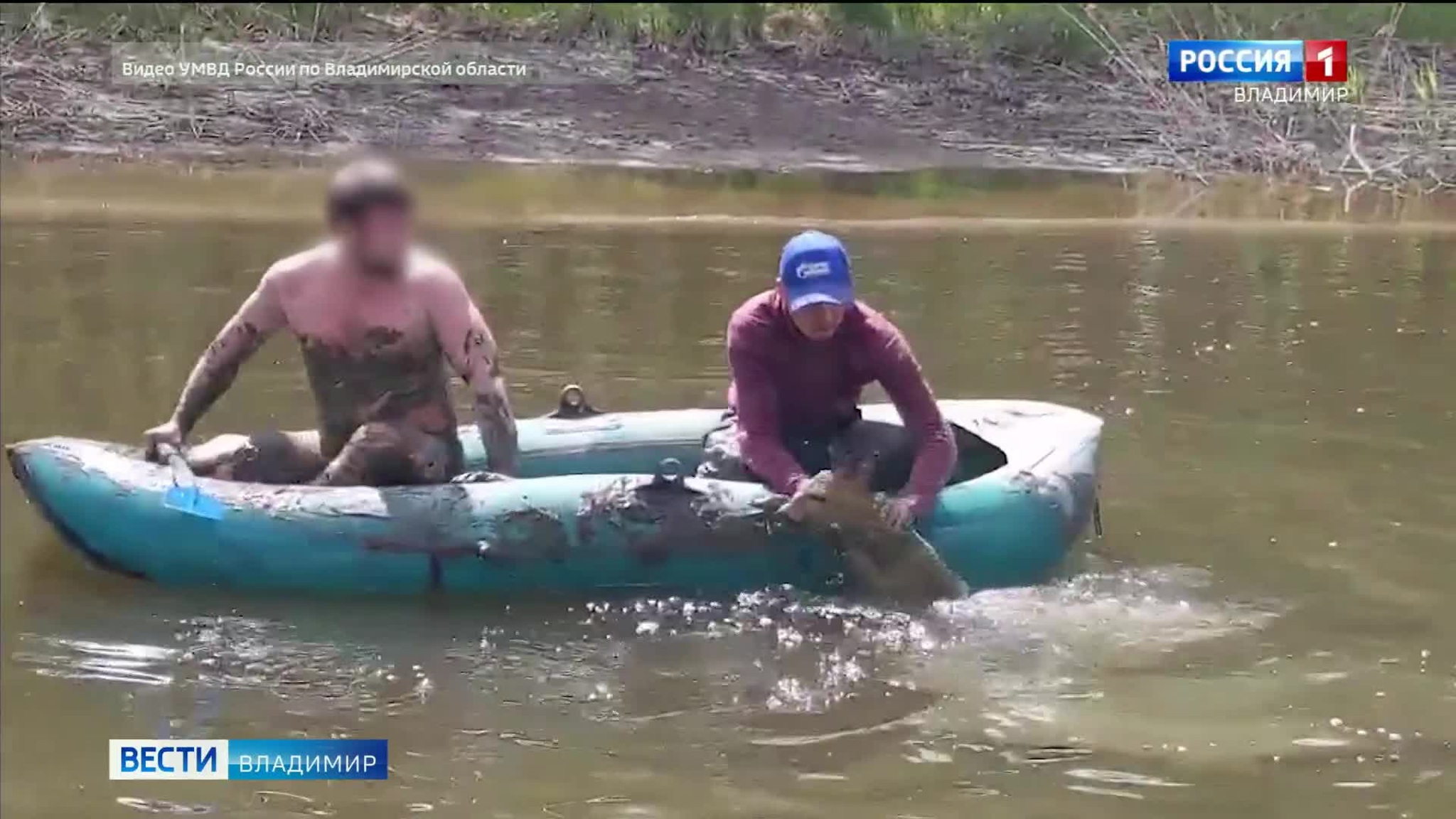 Во Владимирской области полицейские спасли из болота дикую косулю