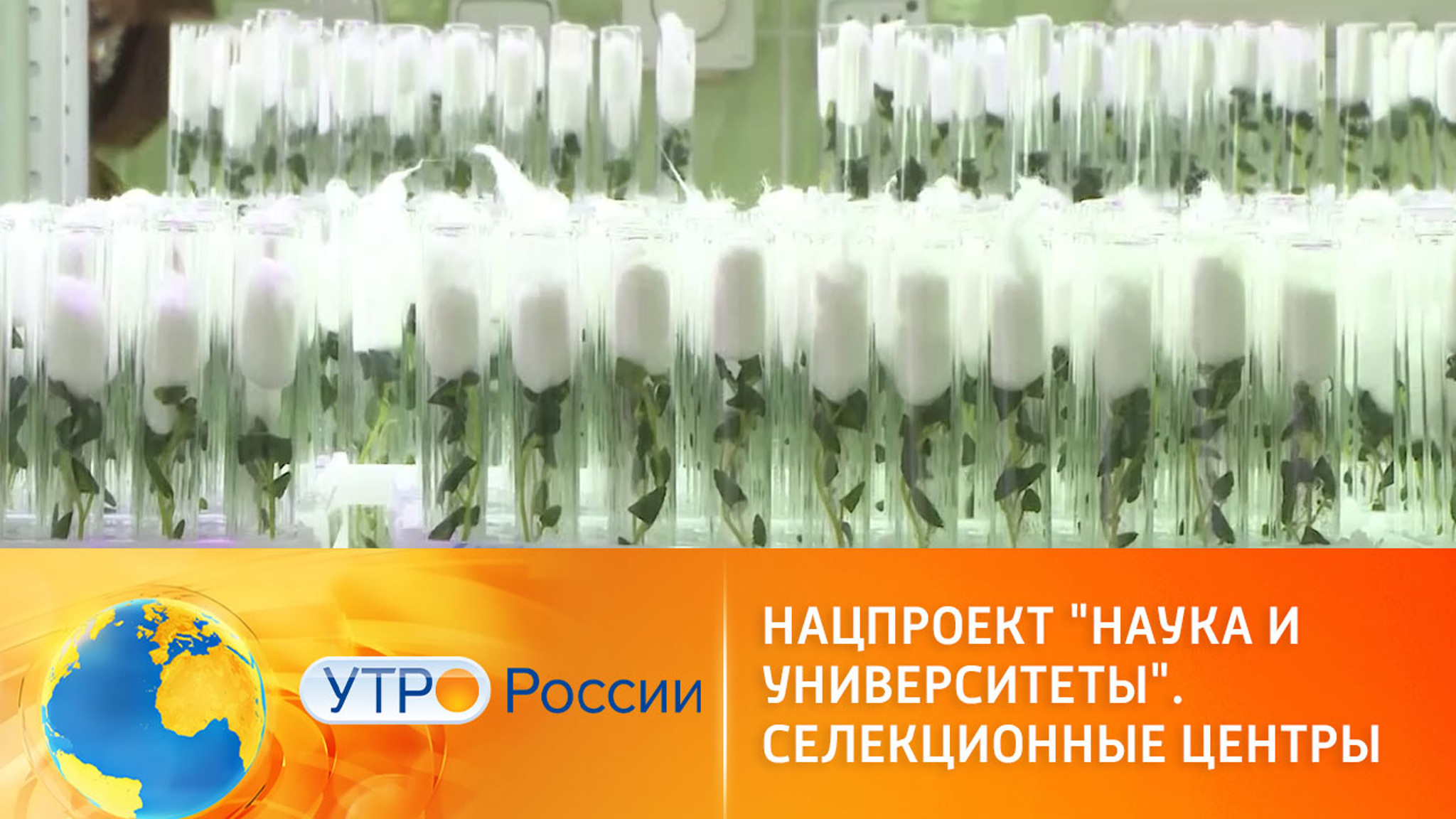 Нацпроект "Наука и университеты". Новые селекционные центры