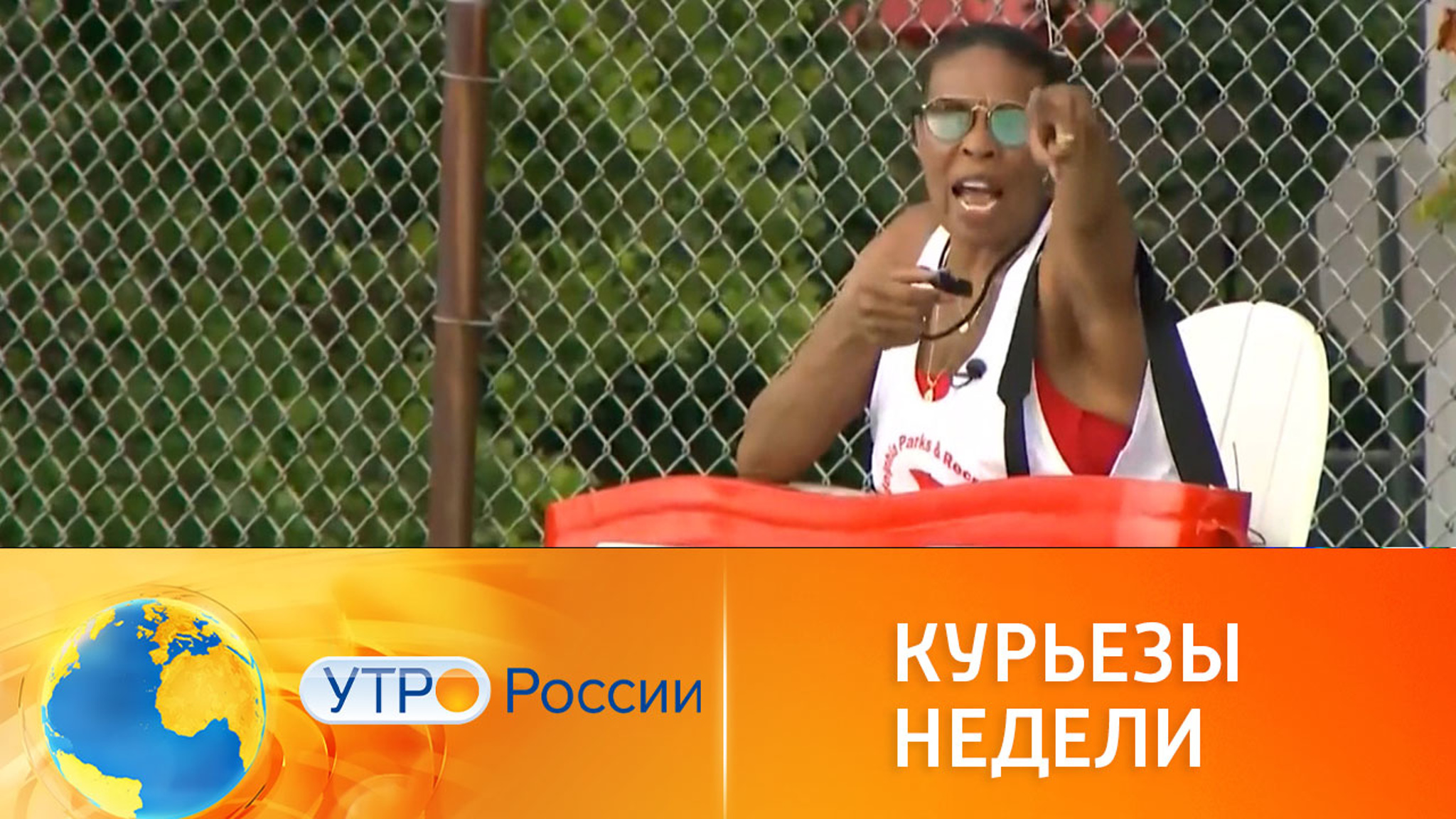 Курьезы недели