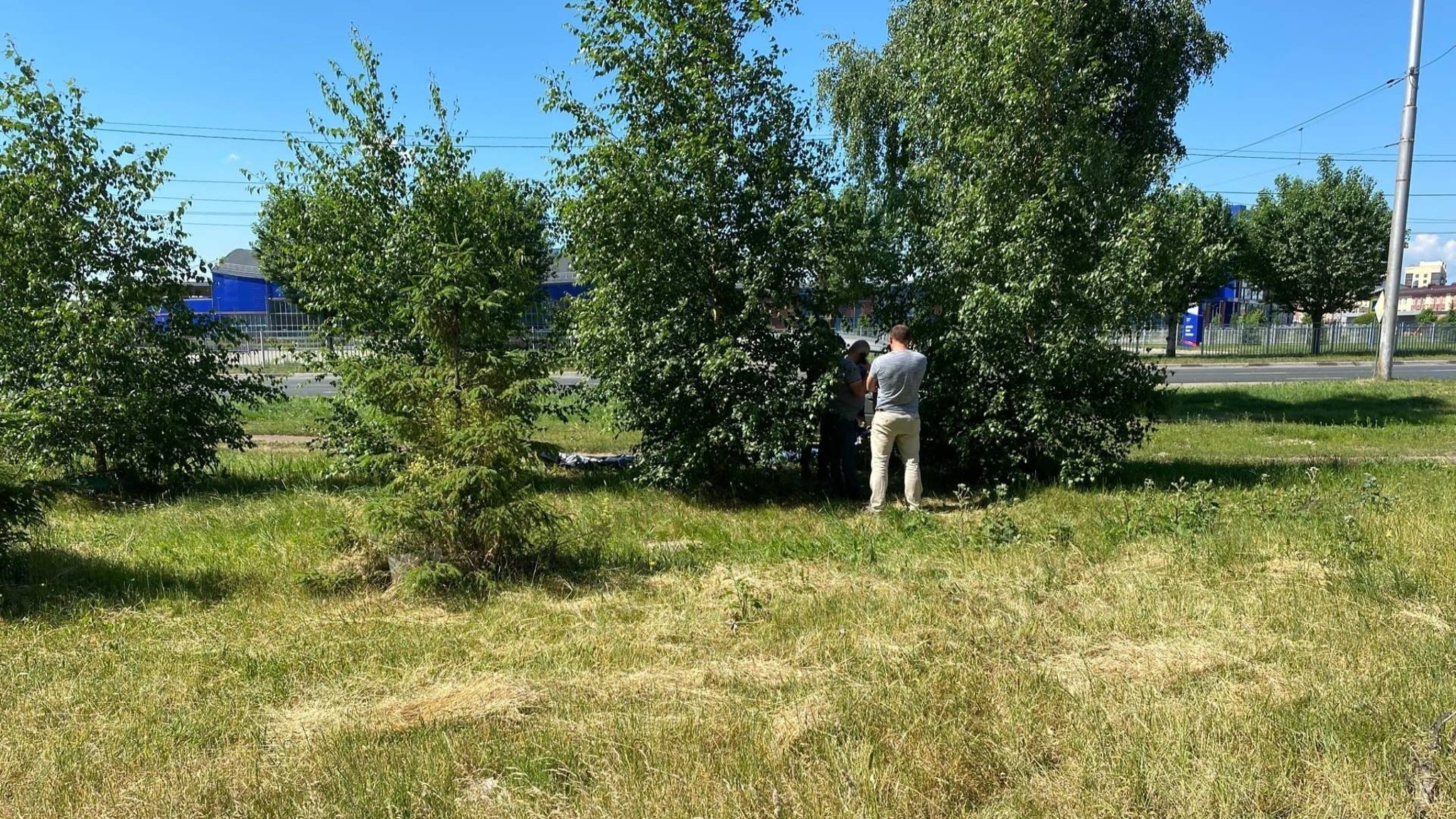 В Ярославле в кустах обнаружили тело мужчины