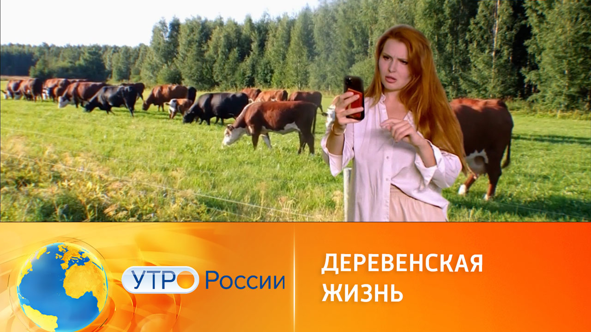 Сельское очарование: особенности жизни за городом