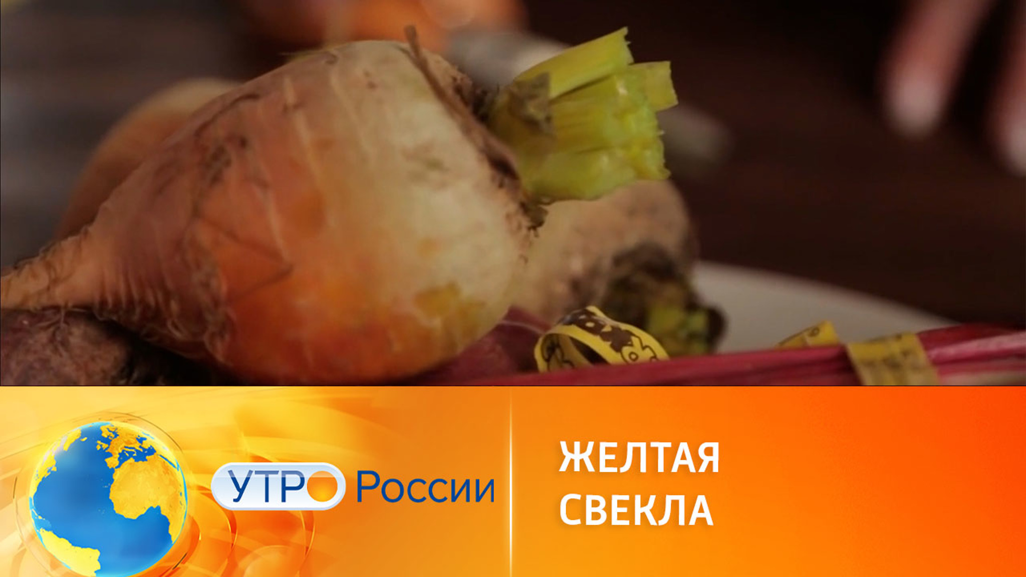 Чем полезна свекла