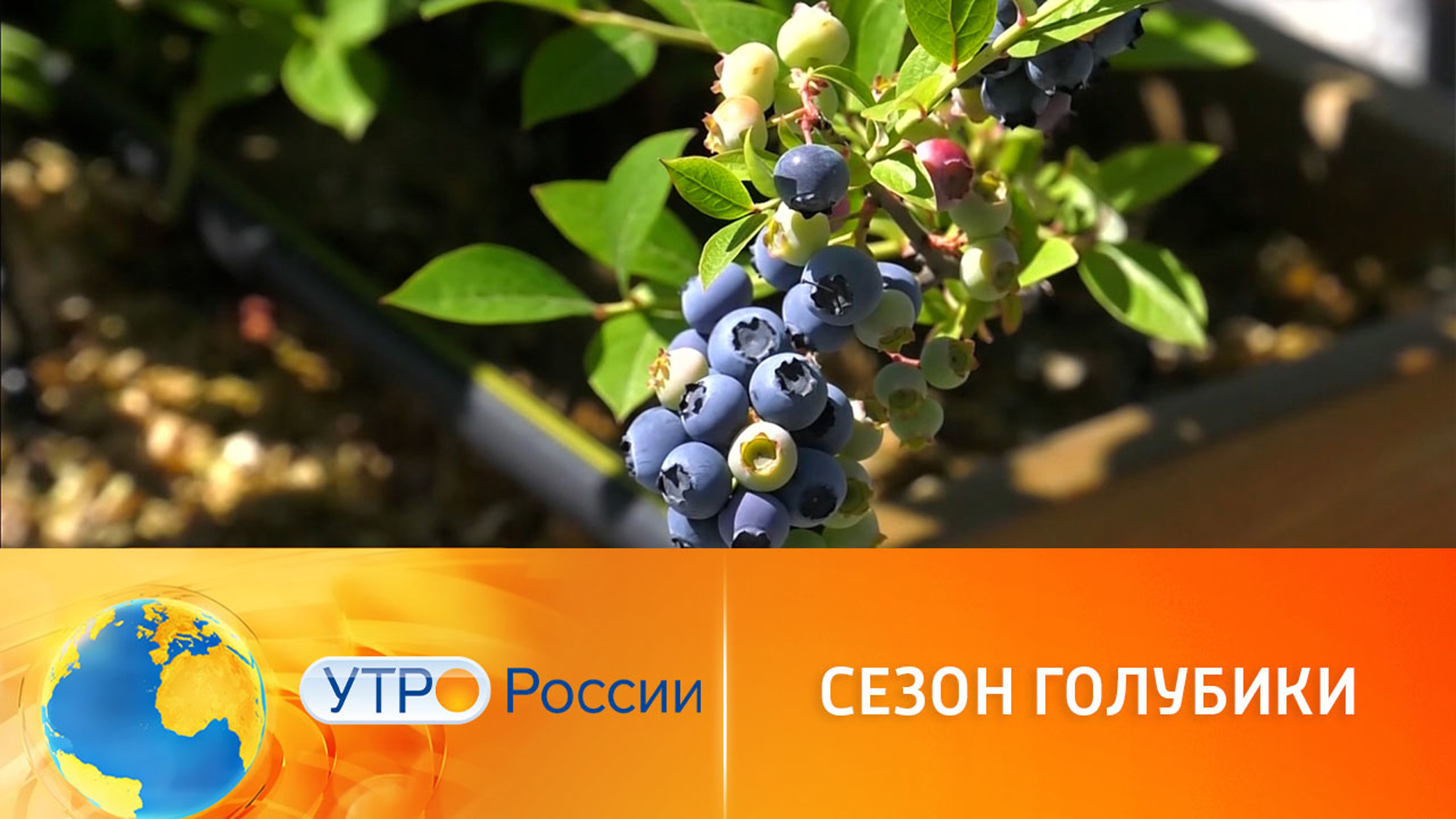 Агротуризм в Сочи