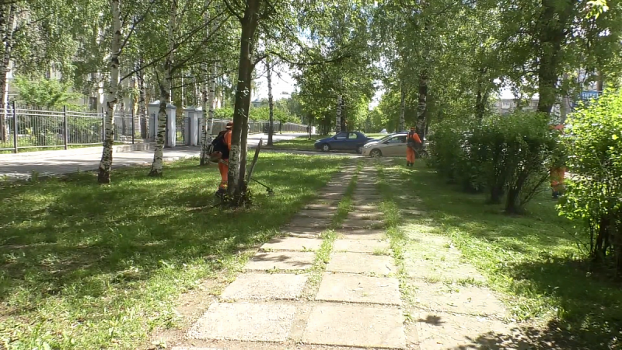 В Кирове начался третий этап кошения травы