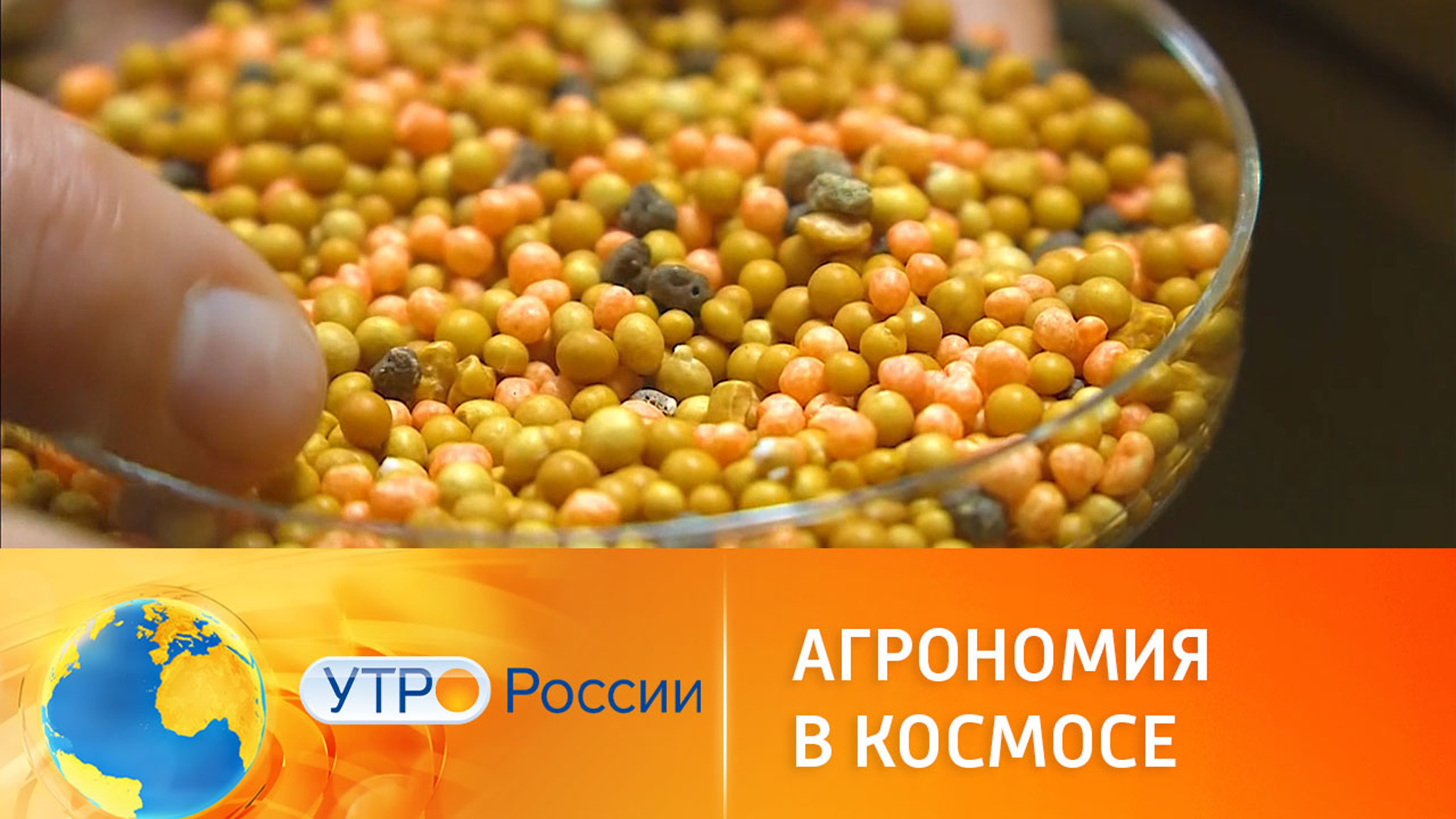 Российские ученые создают космические теплицы