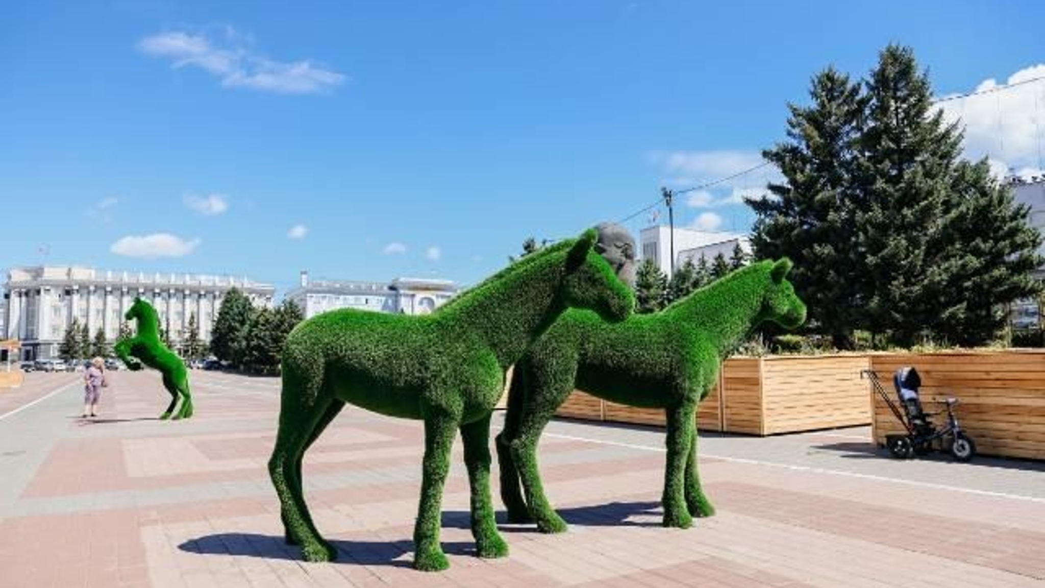 Горожане хотят оседлать декоративных коней в Улан-Удэ