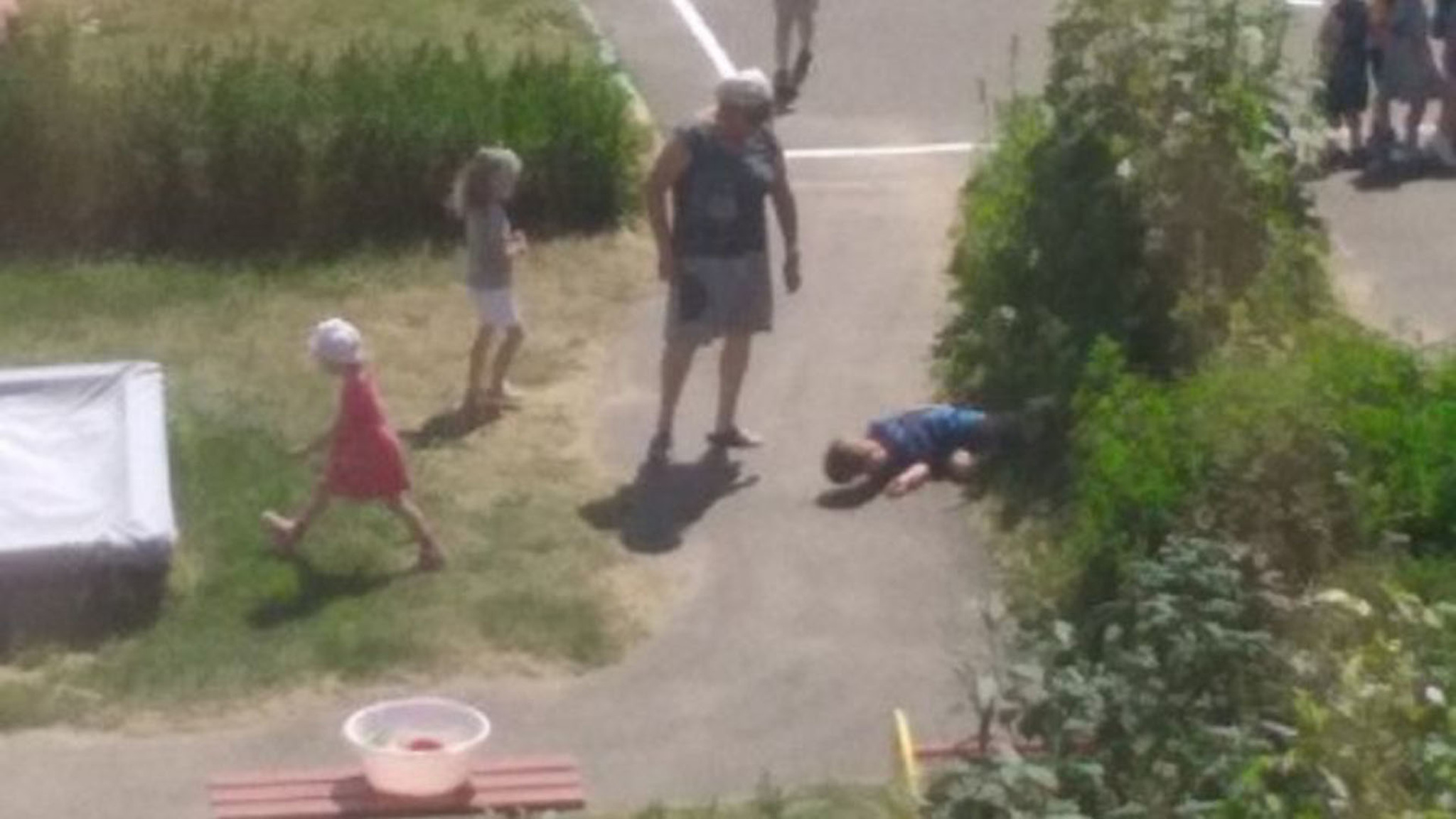 Соцсети: в Тутаеве воспитательница "выкинула мальчика в клумбу"