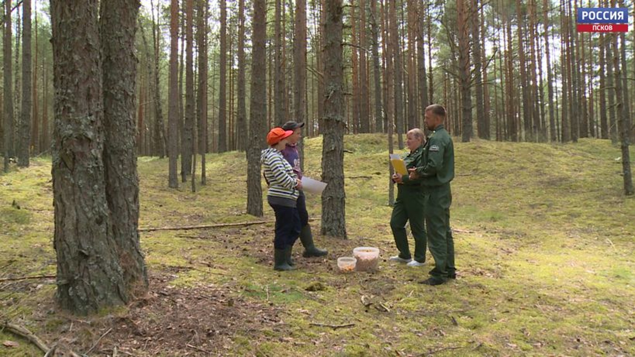 Несмотря на запрет, псковичи продолжают посещать леса и озера