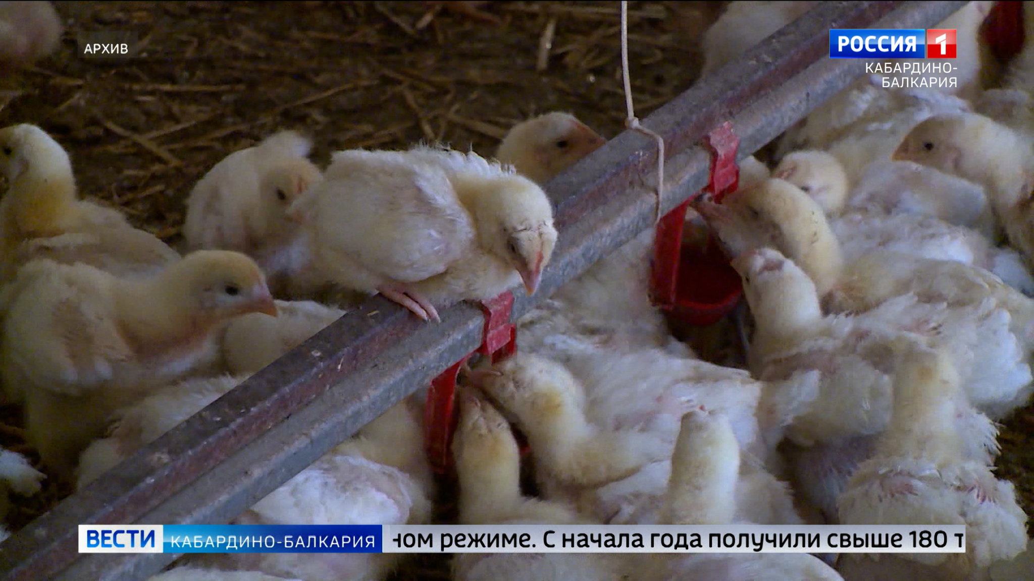 С января по май аграрии Кабардино-Балкарии произвели продукции на 10,5 миллиардов рублей